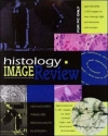 Histology Image Review