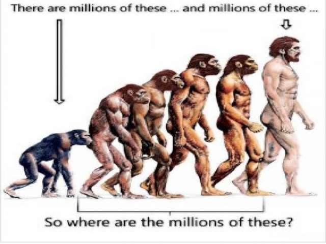 If We Evolved From Monkeys, Why Are There Still Monkeys?