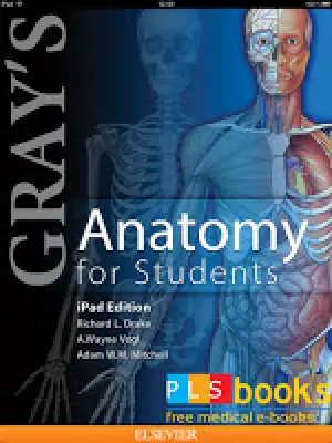 Gray&#039;s Anatomy for Students