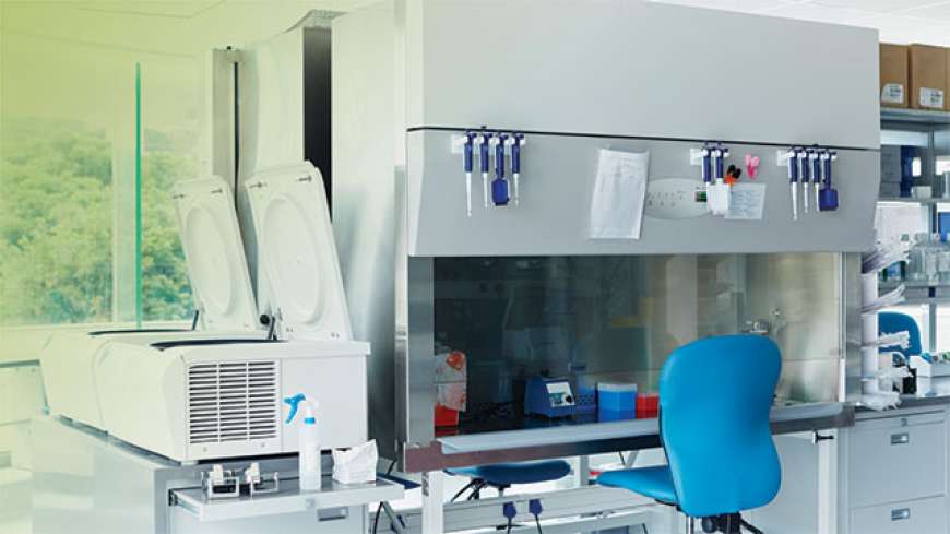 Different Types of Laboratory Fume Hoods