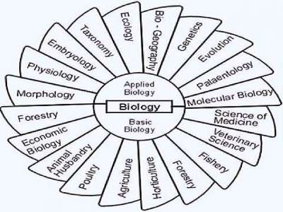 Biology and its related branches
