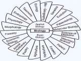 Branches Of Biology Chart