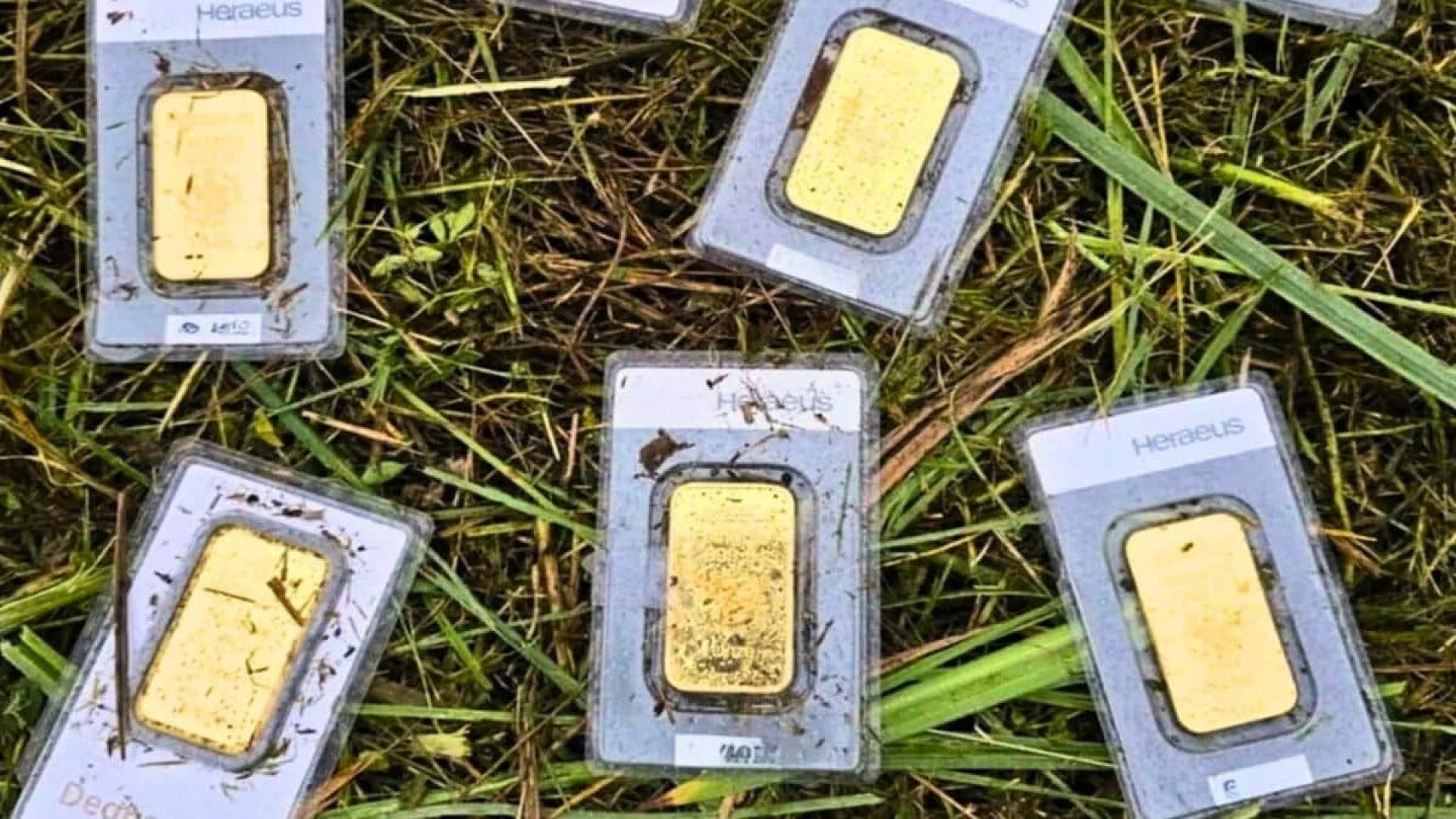 Someone Left E40000 In Gold Bars On A German Lawn Scaled
