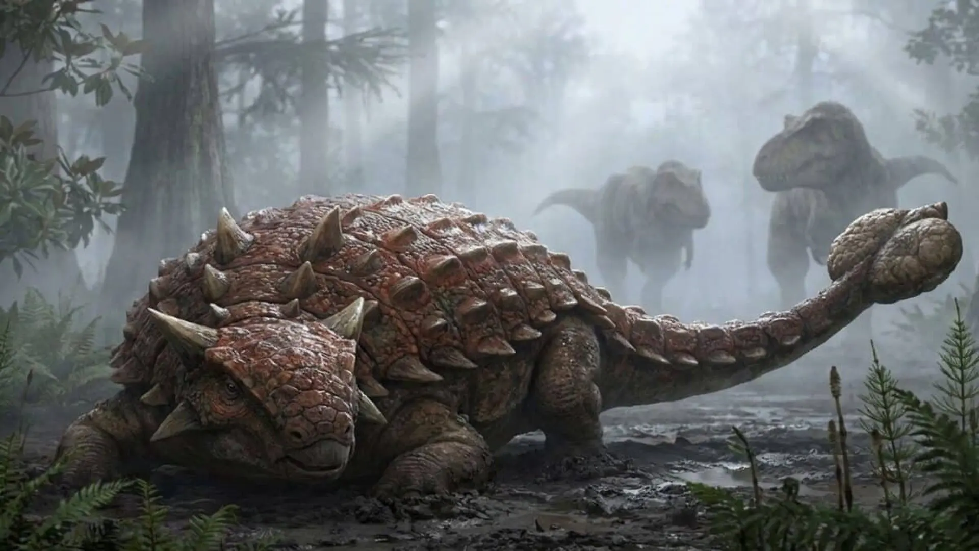 Scientists Just Identified Japans First Ever Armored Dinosaur Hidden Inside A Skull For Over 20 Years Scaled