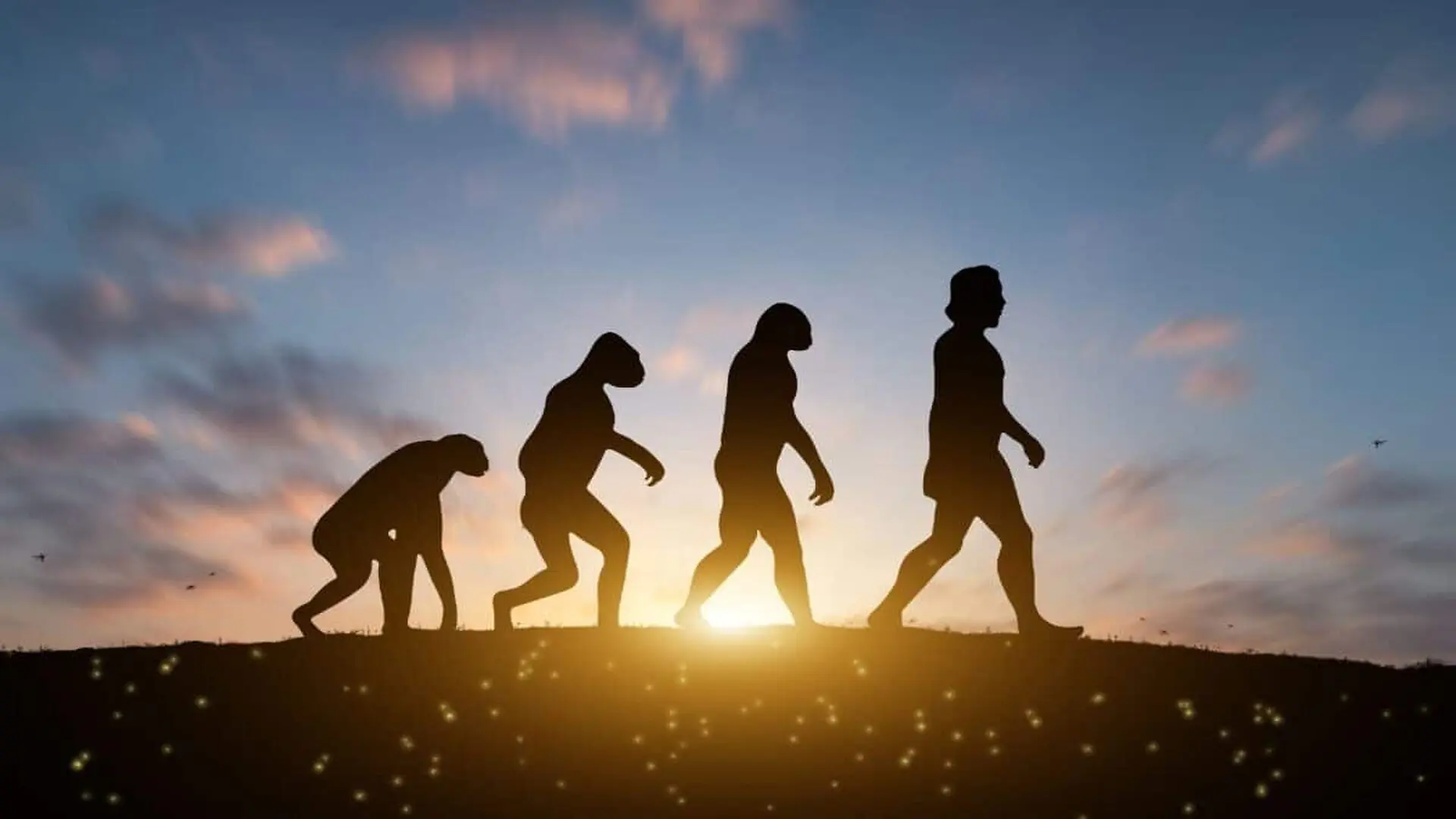The Evolution Of Humans And Other Land Animals May Trace Back To A Very Different Beginning Scaled