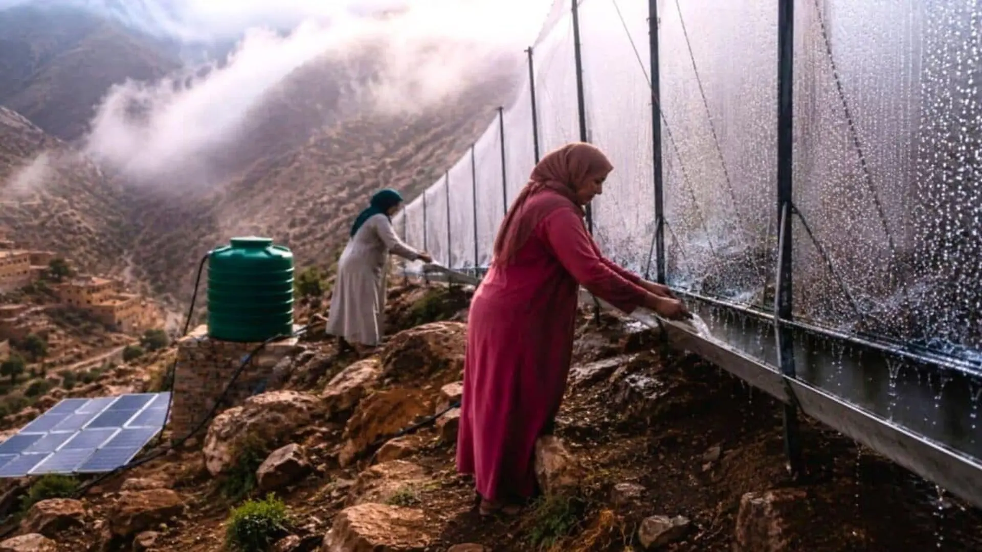 Moroccos Fog Harvesting Nets Turn Atlantic Mist Into Drinking Water Scaled