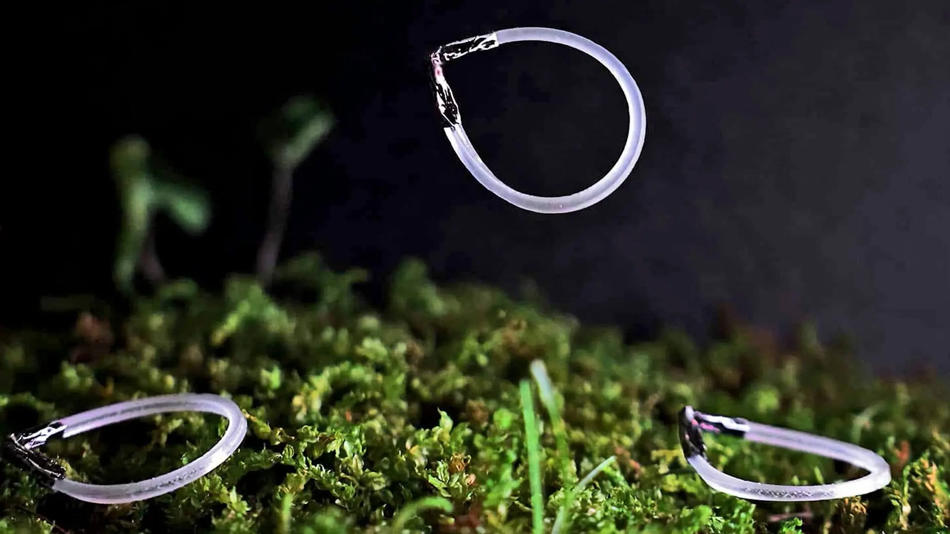 A ring-shaped soft robot is shown in various stages of jumping into the air.