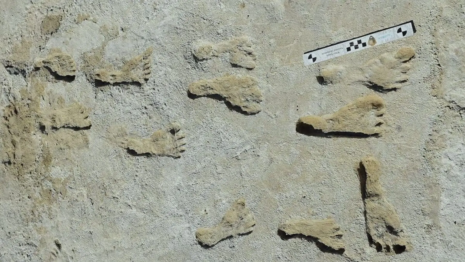 Ancient Mud In New Mexico Confirms Year Old Human Footprints With New Dating Evidence Scaled