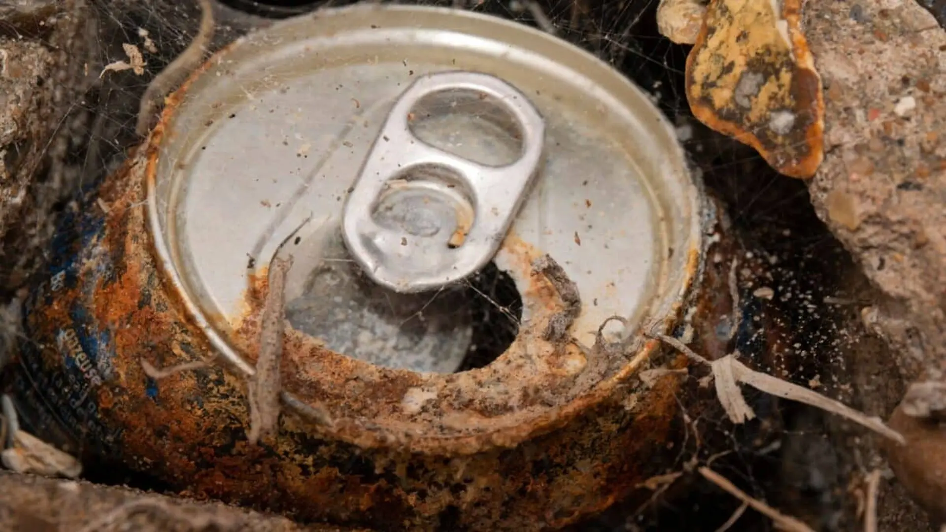 A Couple Walking Their Dog Stumbled Upon An Old Rusty Can Inside Were 10 Million Worth Of Gold Coins Scaled