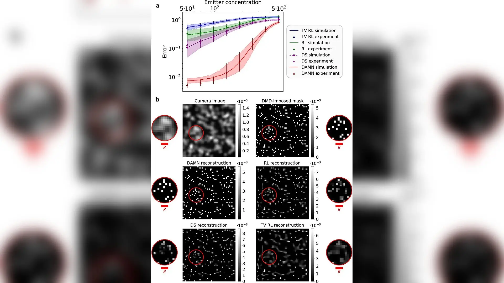 New AI Breakthrough Eliminates Need for Calibration in Super-Resolution Imaging