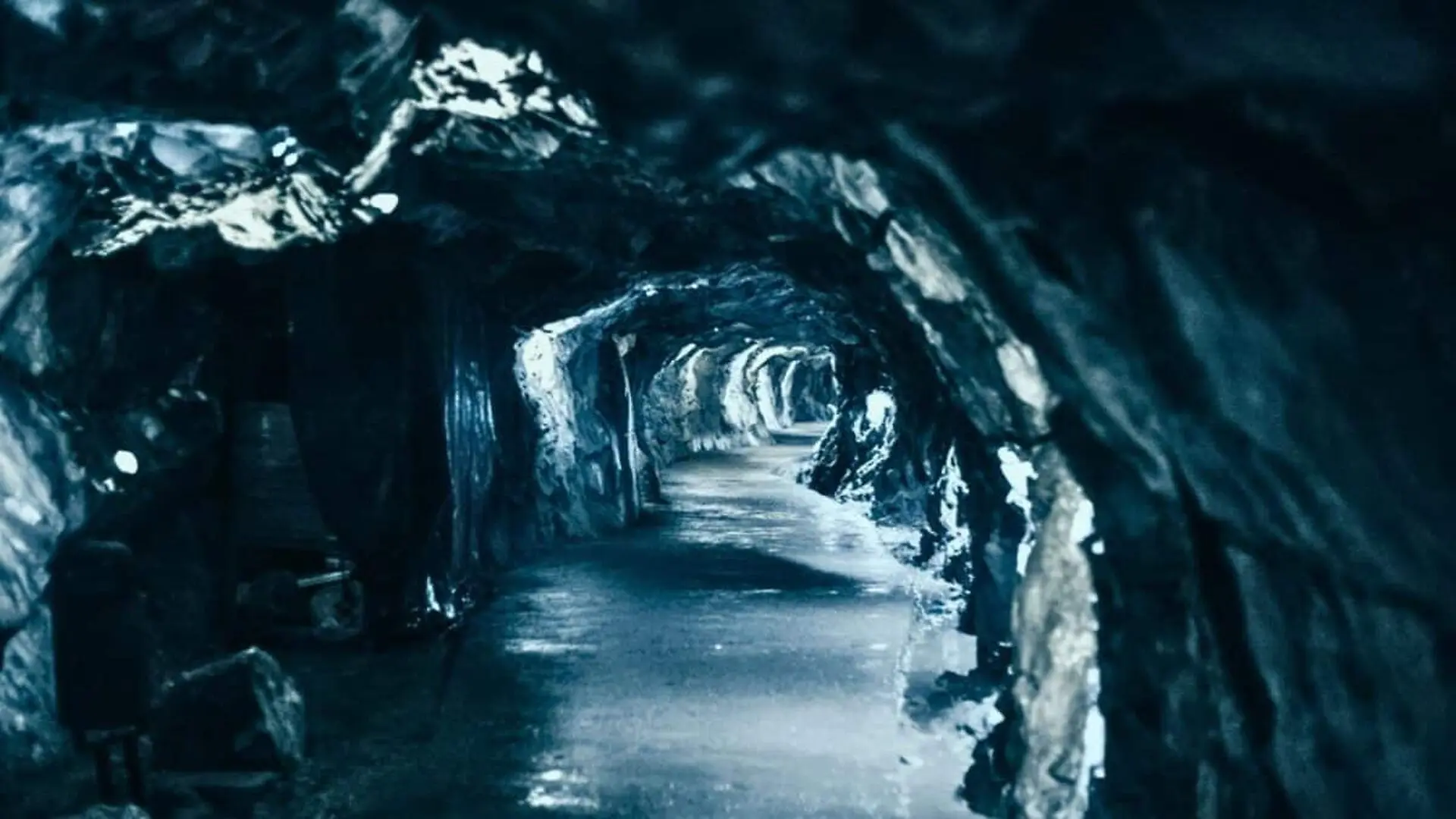 Researchers Found 46 Species In A Norwegian Cave Scaled