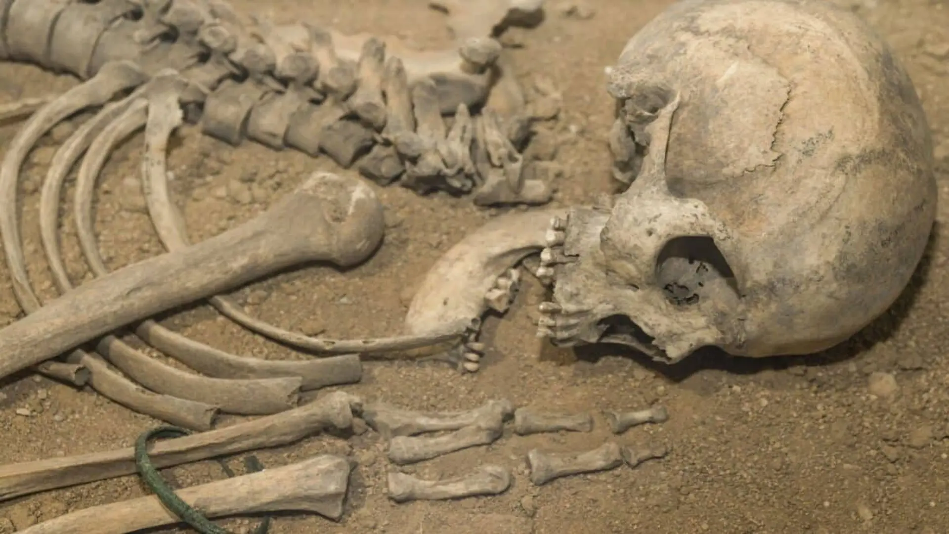 Scientists Discover Two Mysterious Human Ancestors That Have Been Hiding In Our Dna All Along Scaled