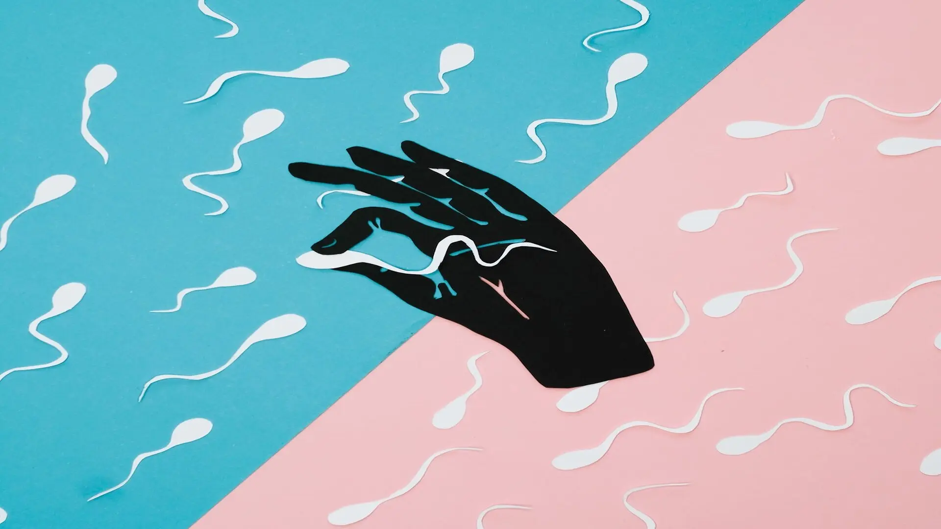 Lab Grown Sperm