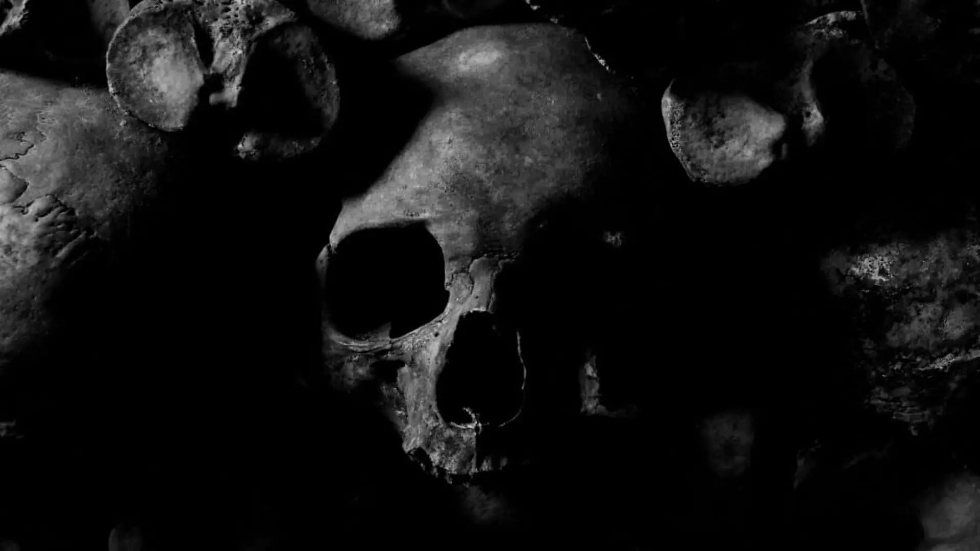 Scientists Reexamine 46 Ancient Skulls And Uncover A Dark Chapter In Egypts Royal History Scaled