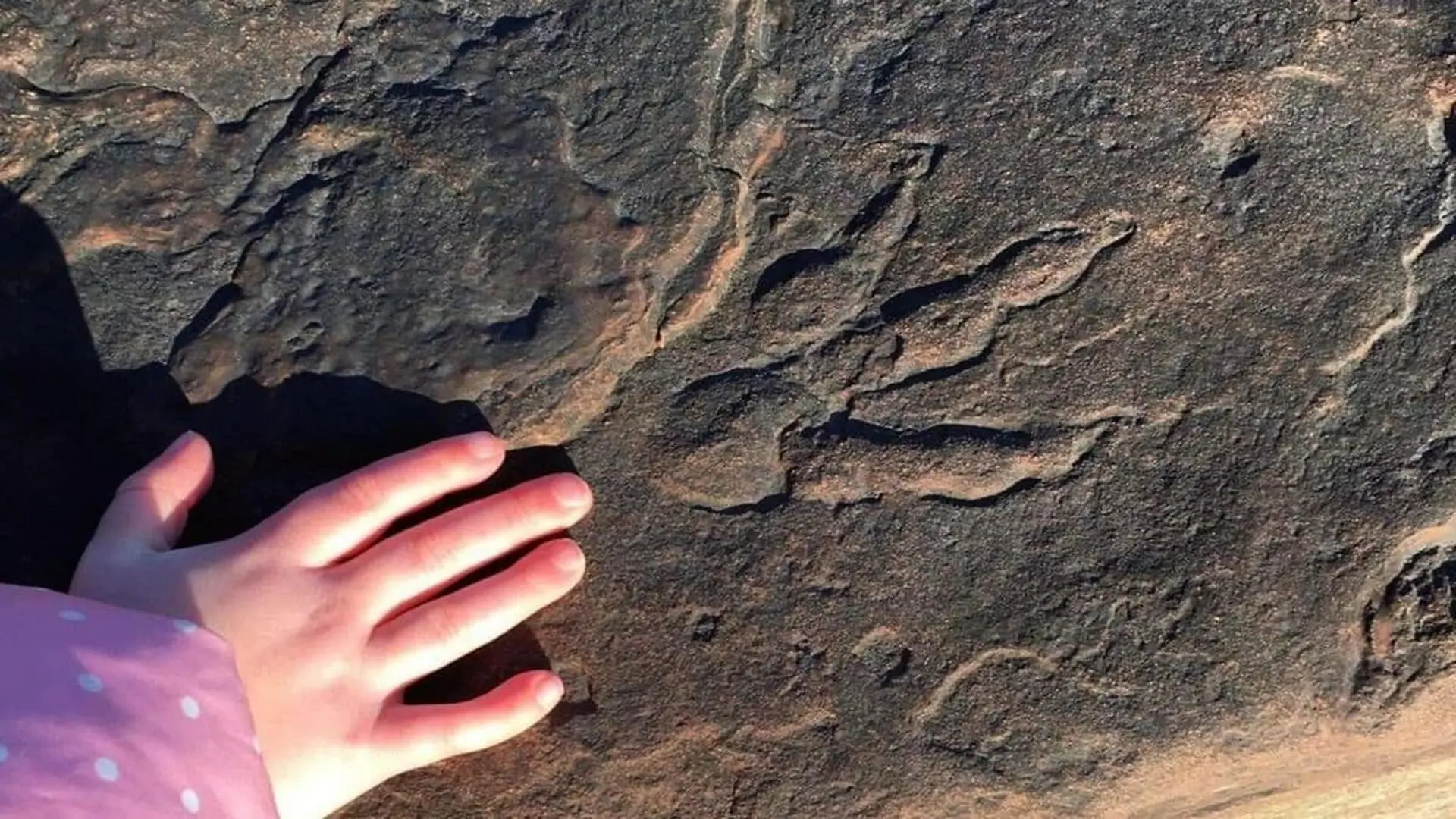 A 4 Year Old Girl Found A Dinosaur Footprint That Stayed Hidden On A Welsh Beach For 220 Million Years Scaled 1