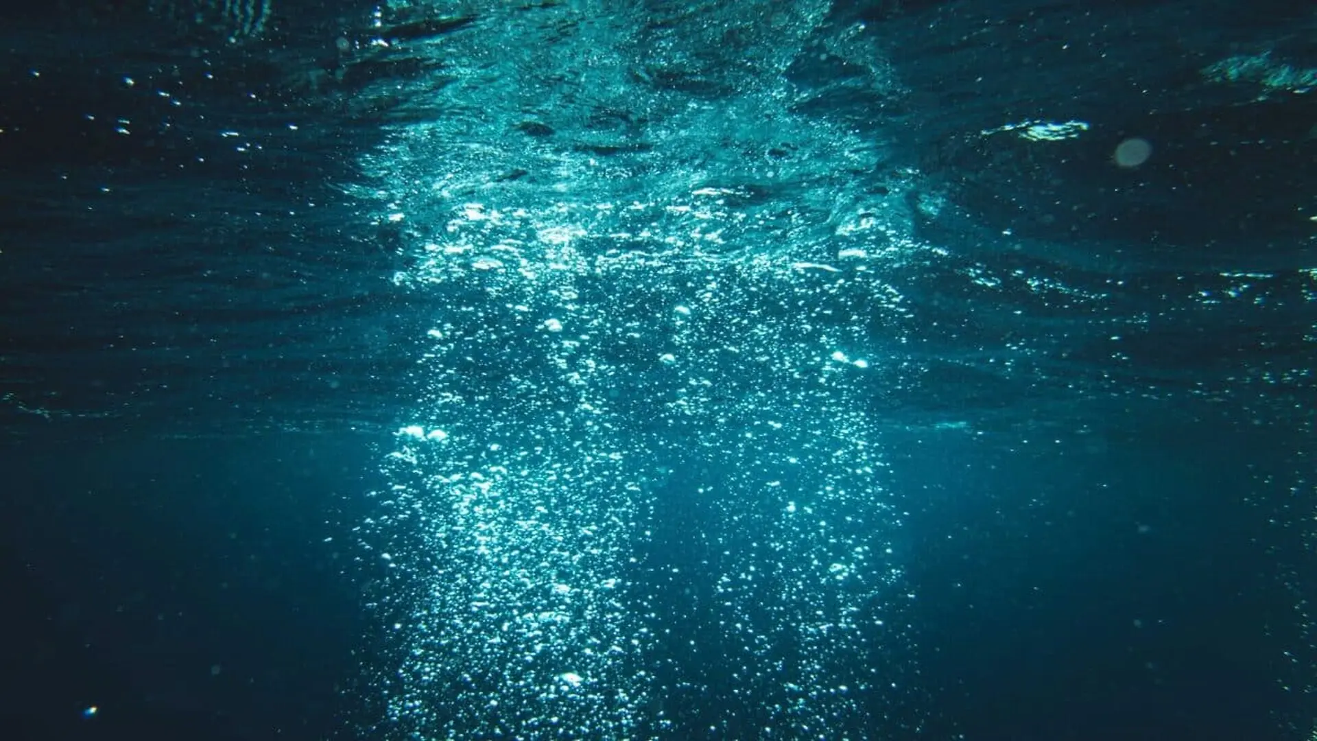 A Bronze Ring Hidden Beneath Alexandrias Waters Reveals An Unexpected Link To An Ancient Wonder Scaled