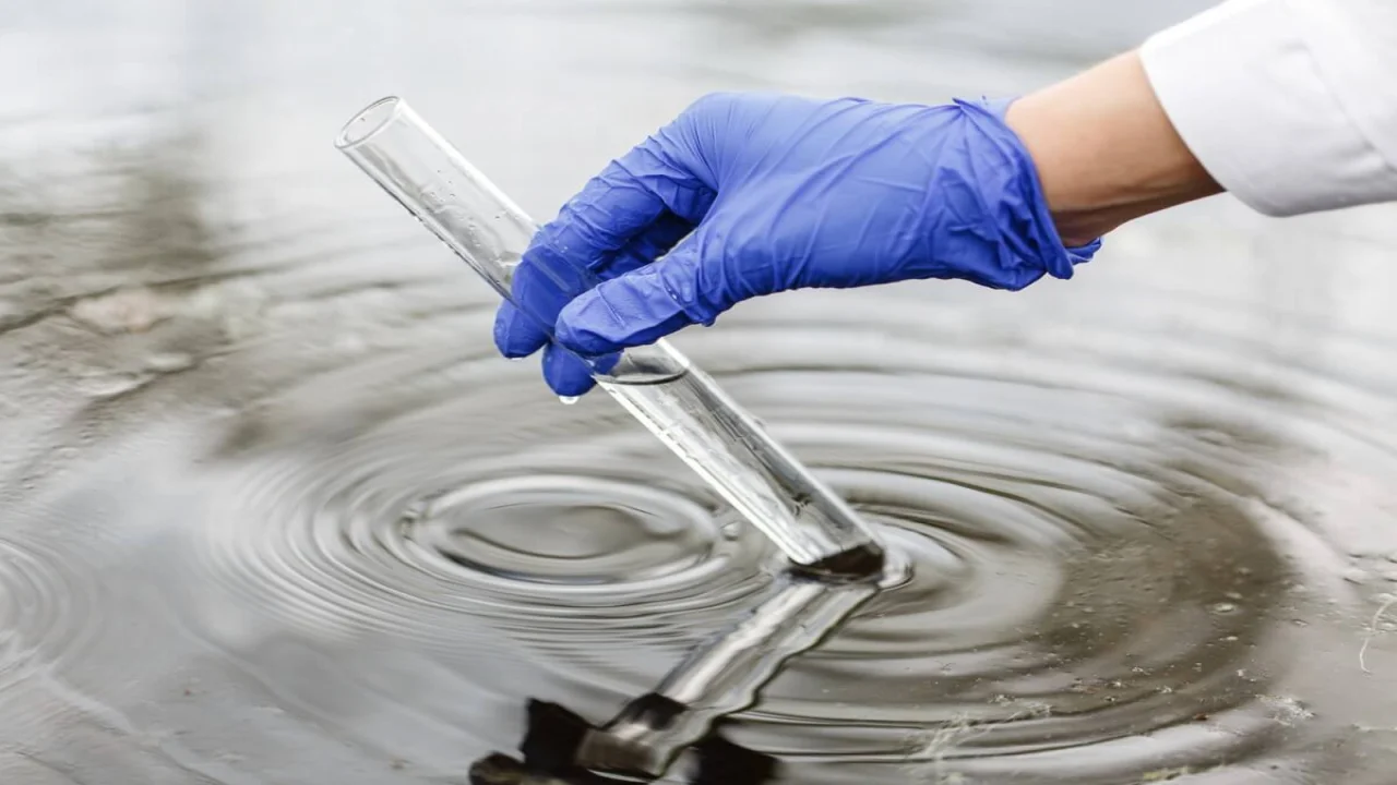 Researcher holds a test tube with water in a hand in blue glove.