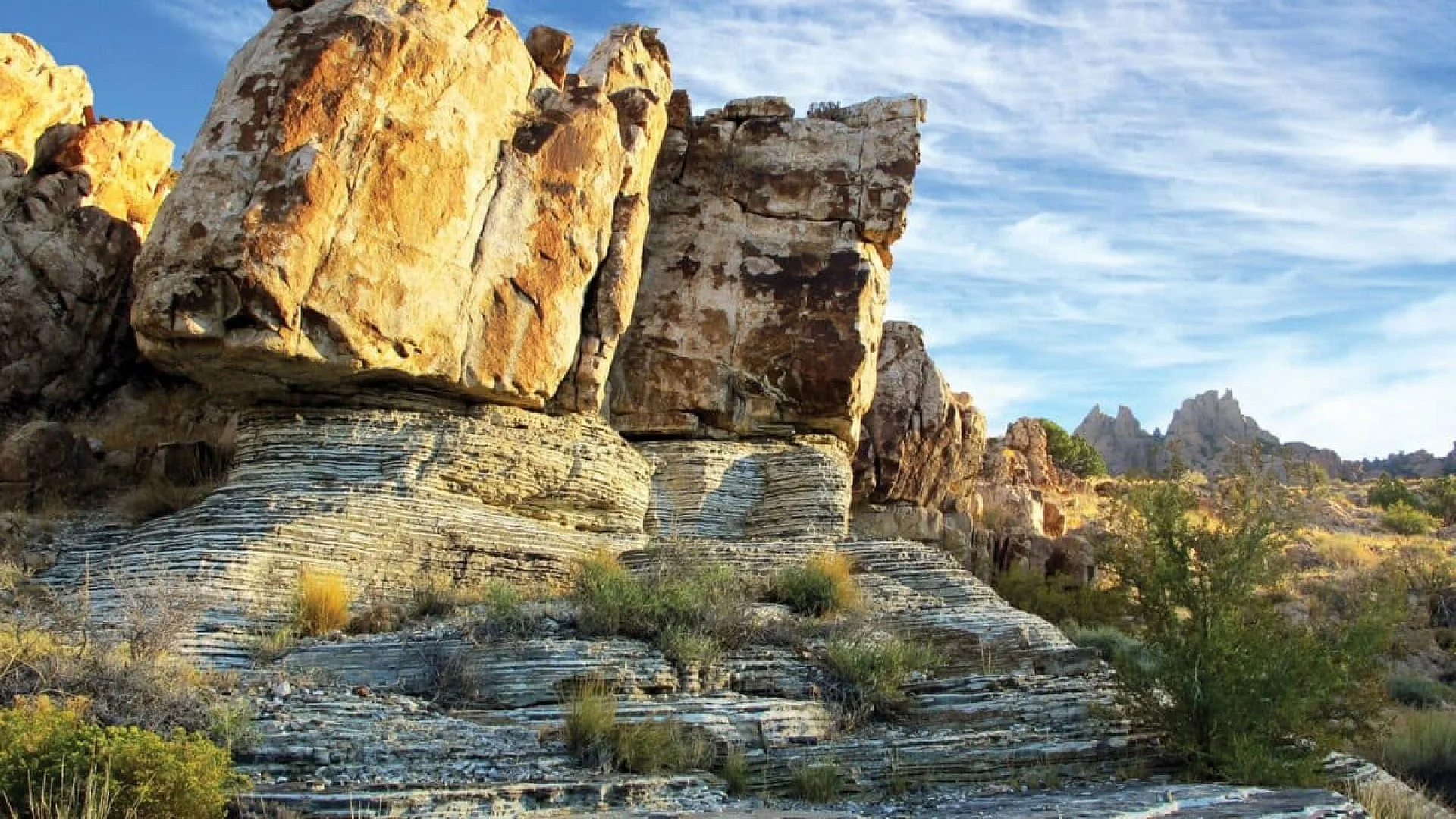 Scientists Found An Exceptionally Preserved Fossil In Utah%e2%80%a6 Then Noticed Something No One Expected Scaled