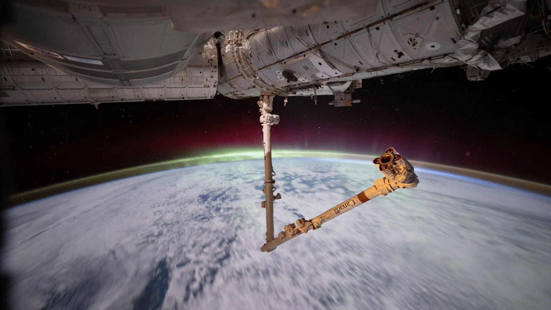 Expedition 74 Advances Science And Prepares Canadarm2 Repair In Space Scaled