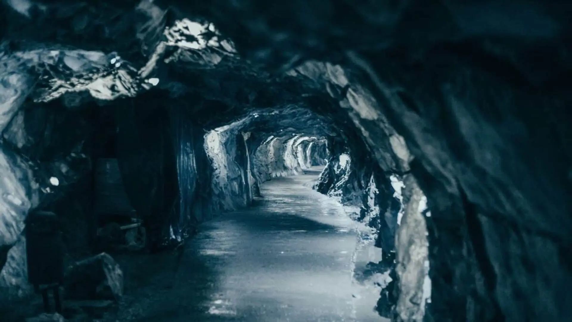 Scientists Opened A Forgotten Cave In Norway And Found An Arctic World That Existed Years Ago Scaled