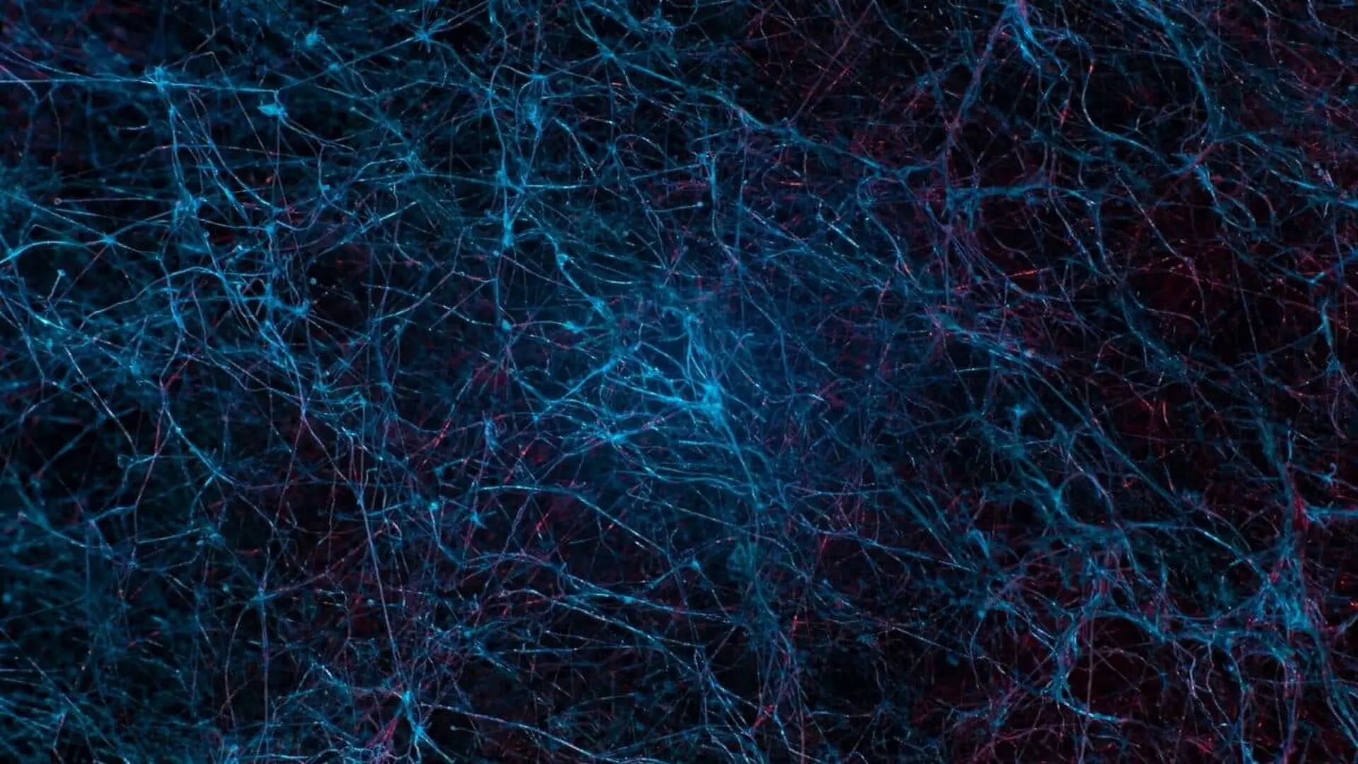 These Neurons Could Explain Why Some People Keep Going While Others Give Up Scaled