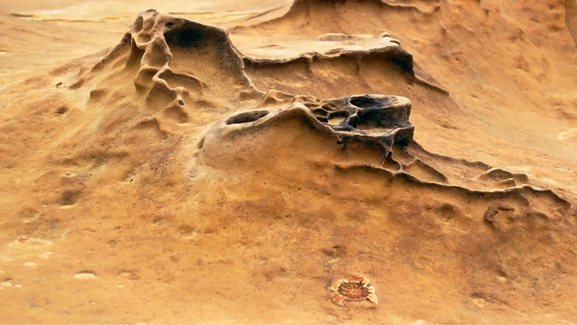 A Mars Clue That Could Finally Test Whether Life Once Existed On The Planet Scaled