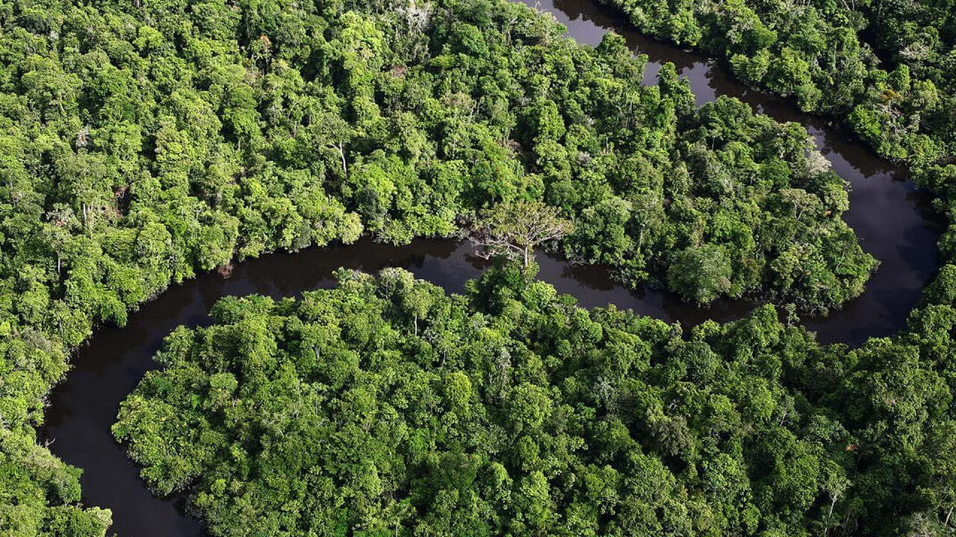 Amazon River