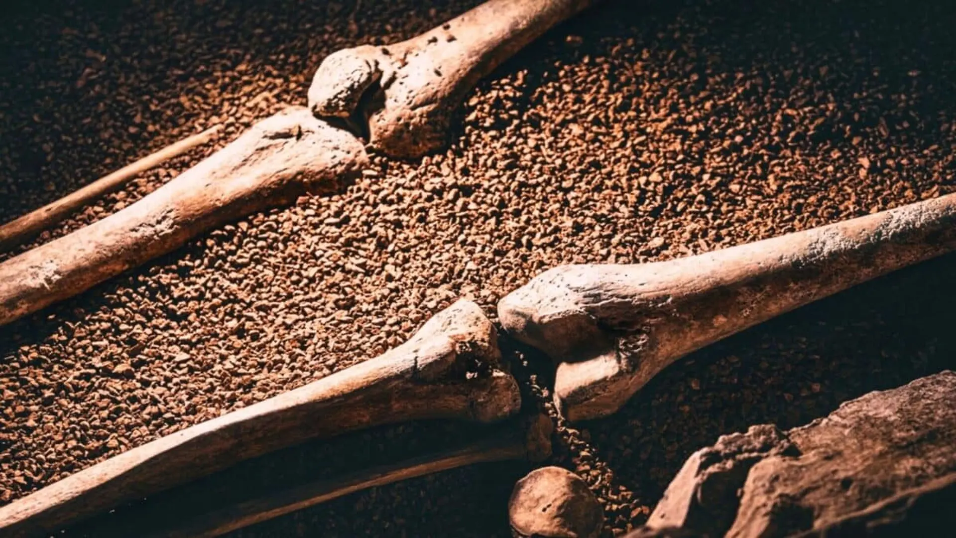 Thousands Of Ancient Objects Were Packed Inside 22 Boxes Scaled