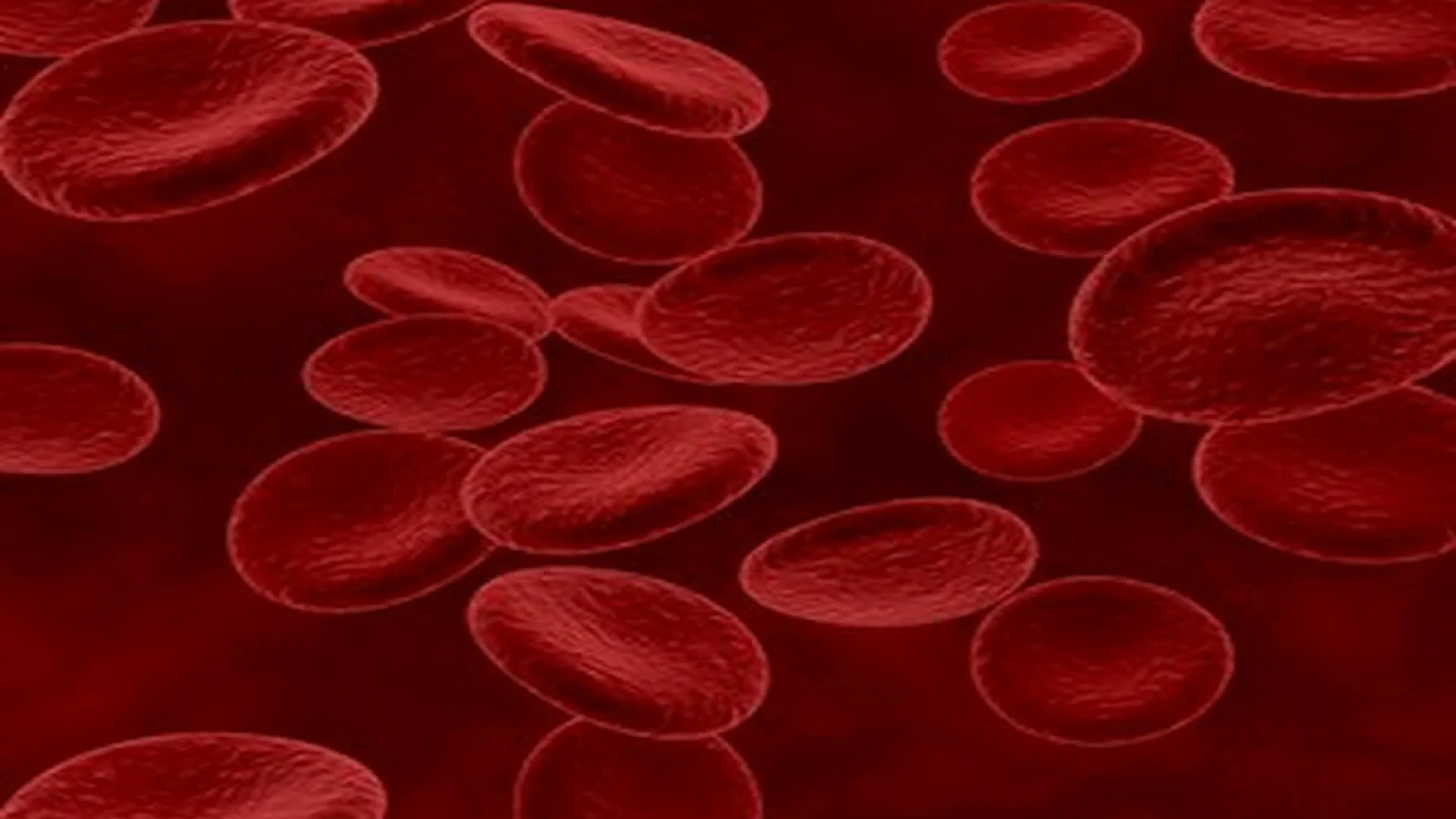 Red blood cells.