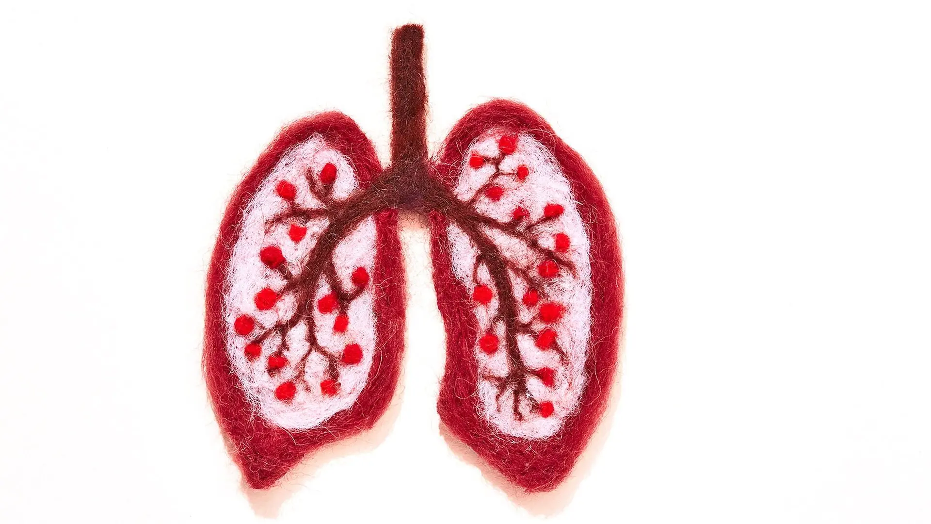 Human lungs woven out of wool sit on a white background.