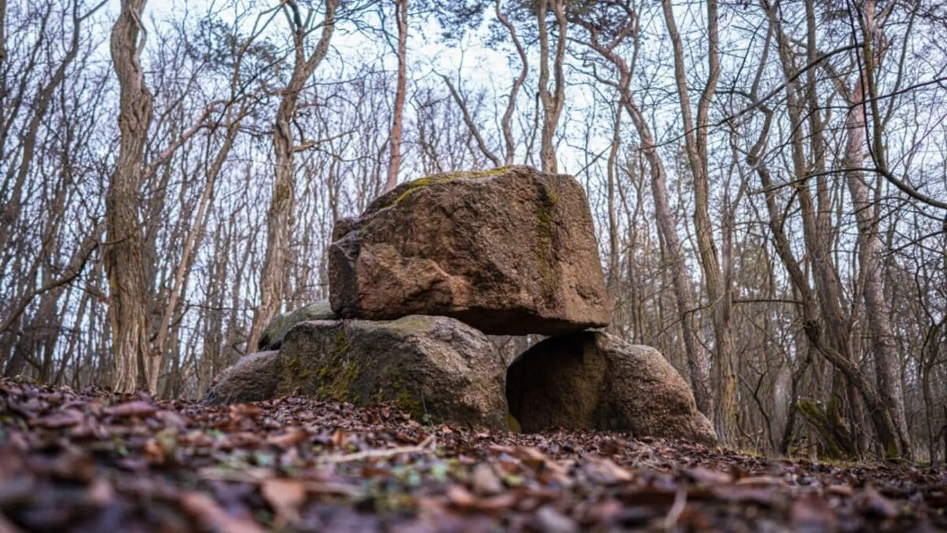 Dna From An Ancient Tomb Uncovers The Forgotten Collapse Of A Stone Age Civilization Scaled