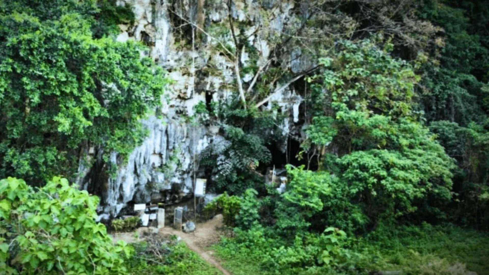 Unidentified Hominin Lived Alongside Early Modern Humans Scaled