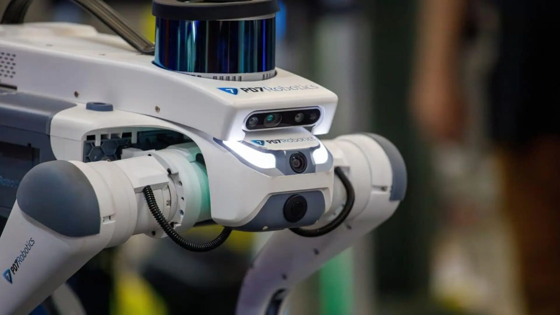 Robot Dogs Could Become The First Workers At Chinas Planned Moon Base In An Ambitious Push For Scaled