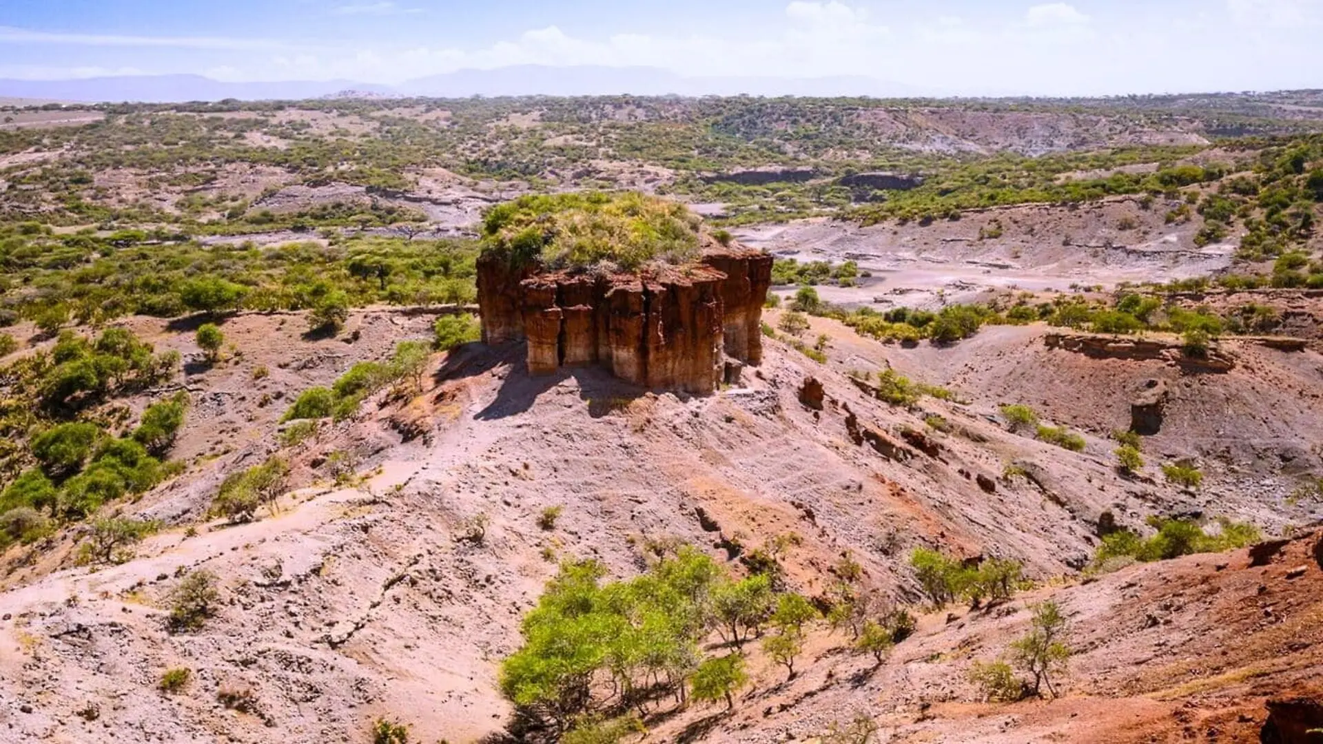 A Mysterious Ice Age Skull Discovered Beneath Tanzania Scaled