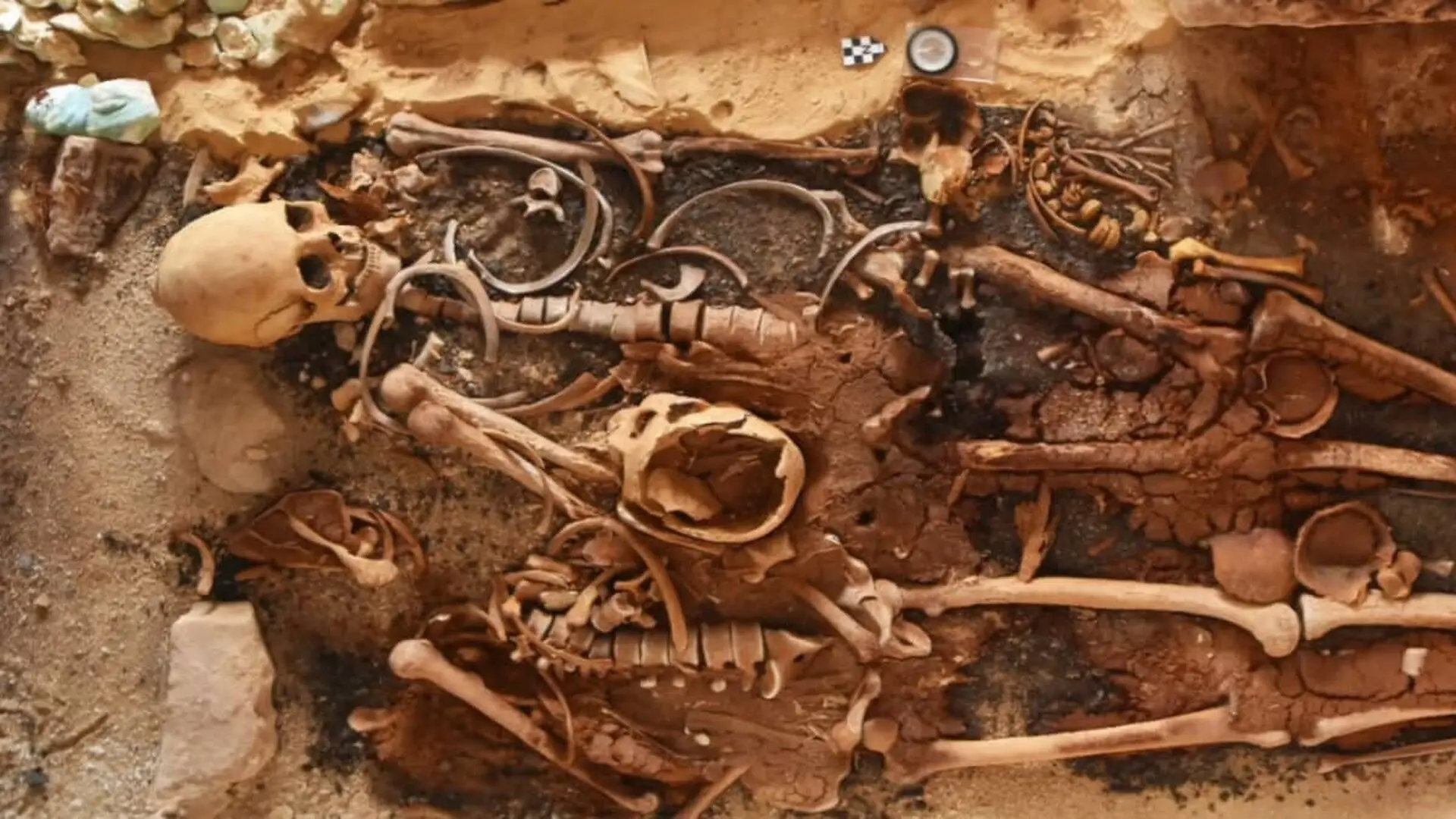 At Least Two Human Skeletons Were Unearthed At The Site Scaled