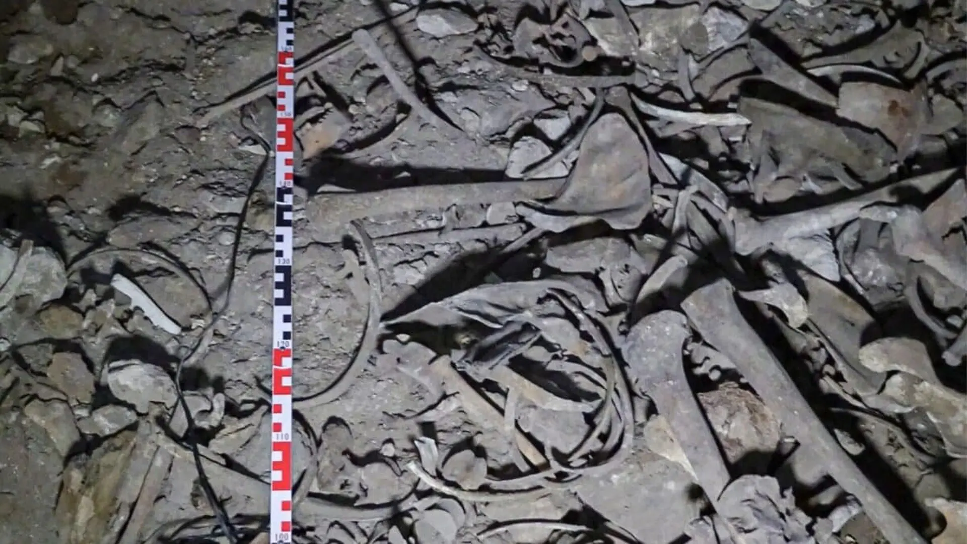 Scientists Discover A Lost Himalayan Population Hidden In Year Old Dna From A Remote Mountain Cave Scaled