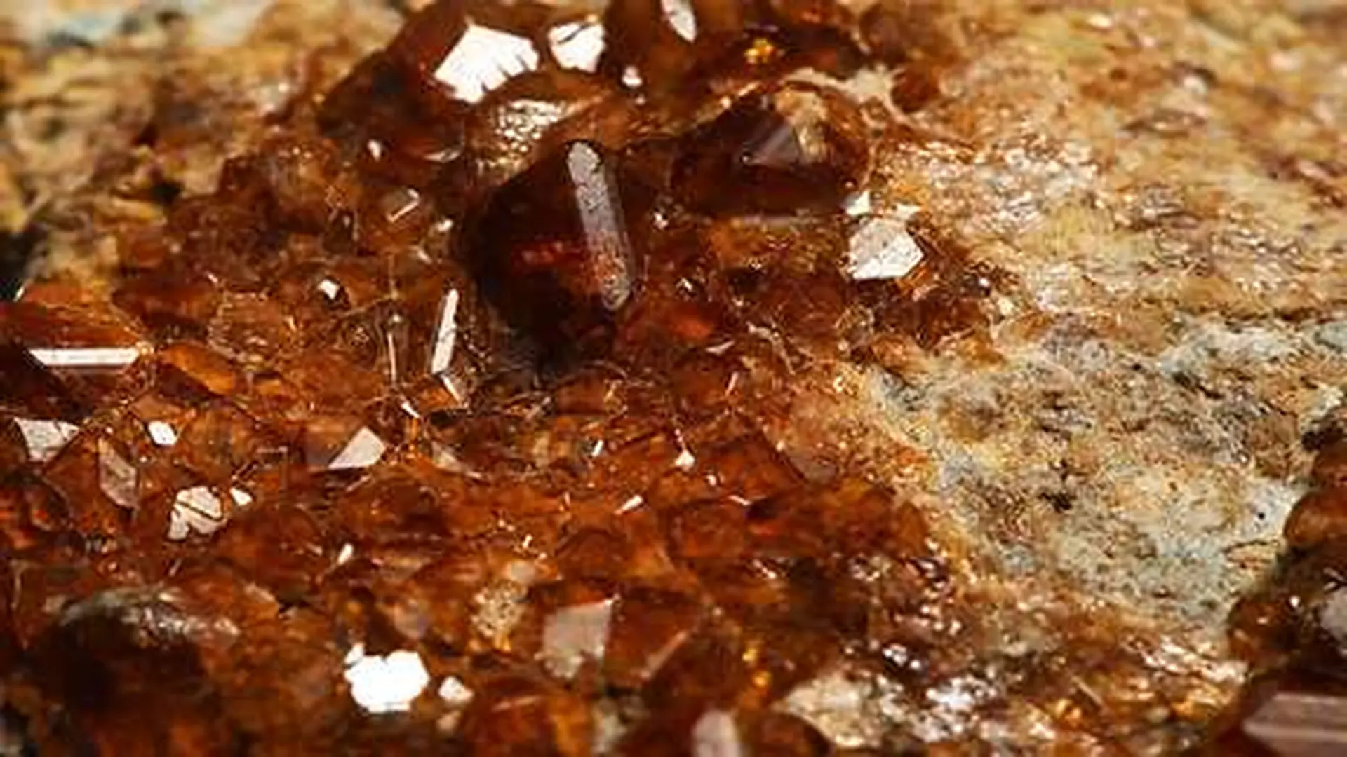 This Mars Meteorite Hid A Rare Gemstone Mineral That May Have Formed Inside The Red Planet Scaled