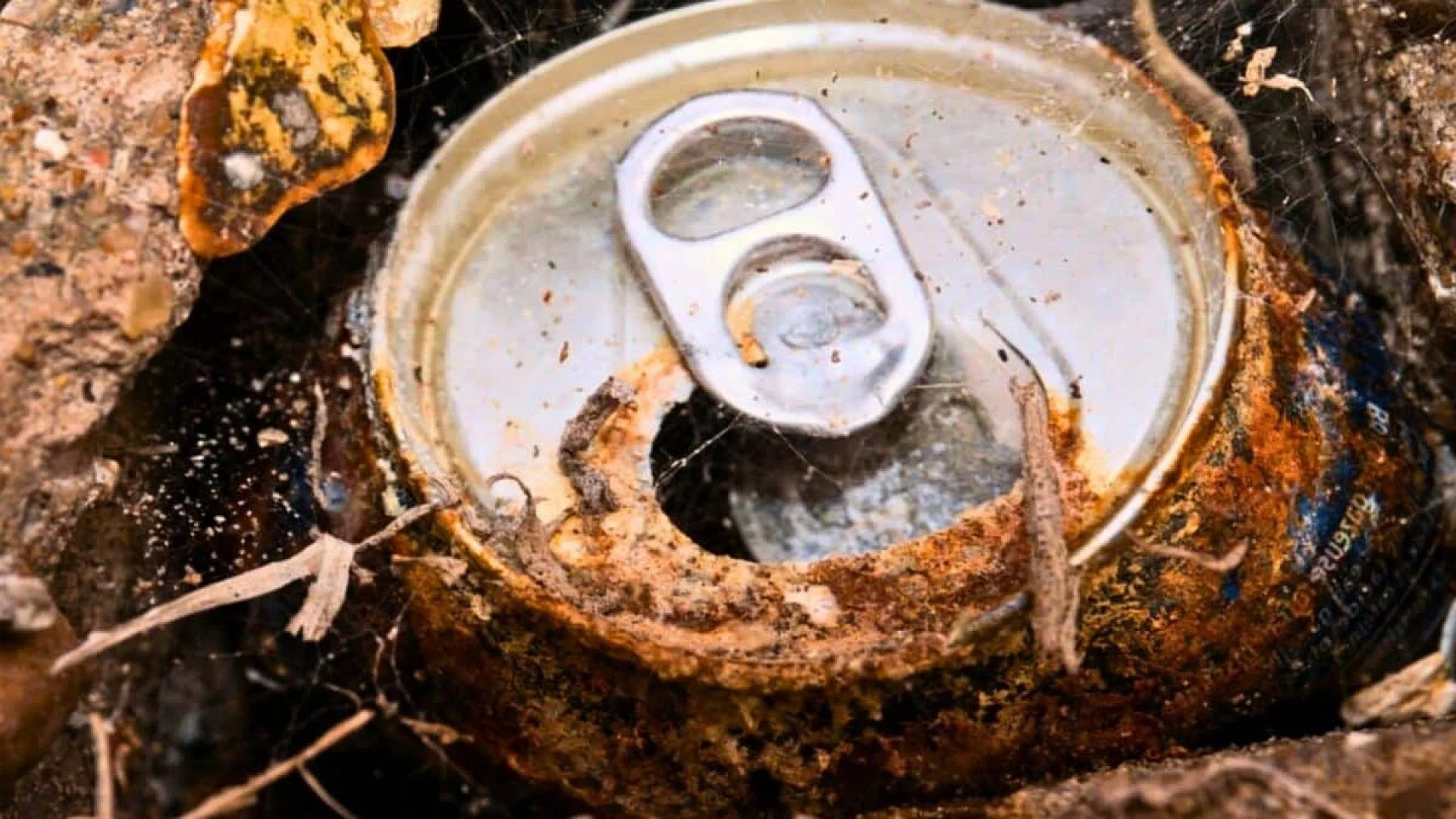 A Buried Czech Treasure Worth Millions Carries Clues From Serbia Or Bosnia Scaled
