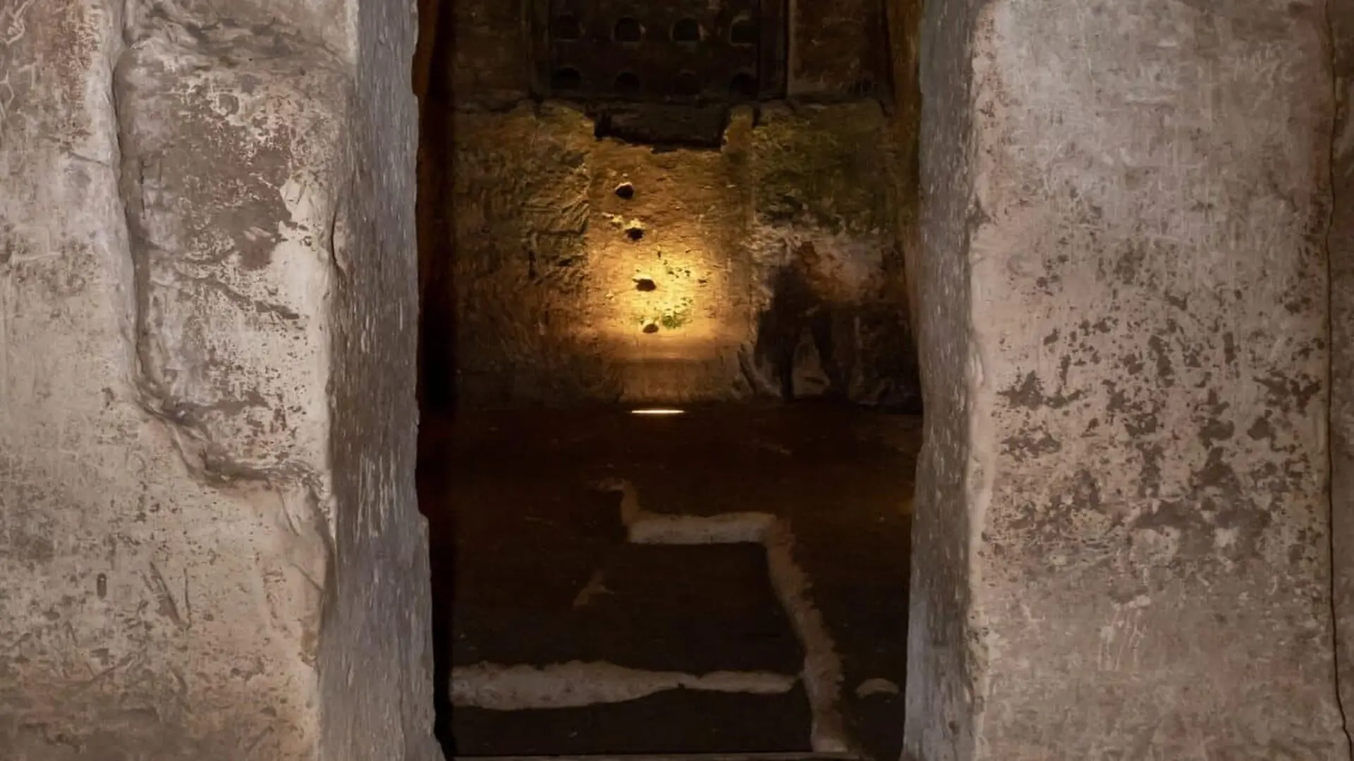Archaeologists Were Racing To Stop A Flood When They Found A Year Old Egyptian Tomb Instead Scaled