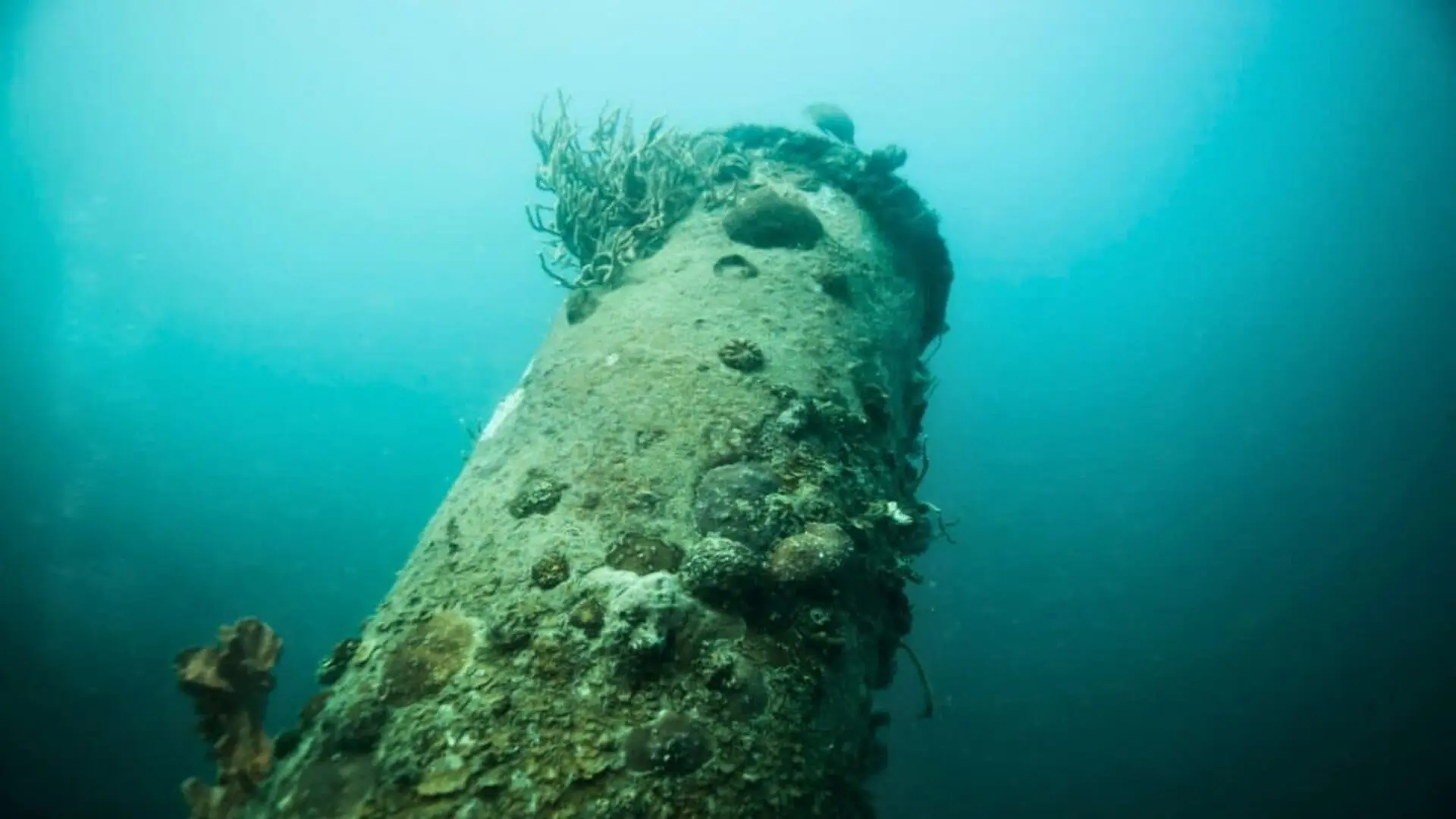 Savannah River Cannons Preserved Underwater For Centuries Scaled