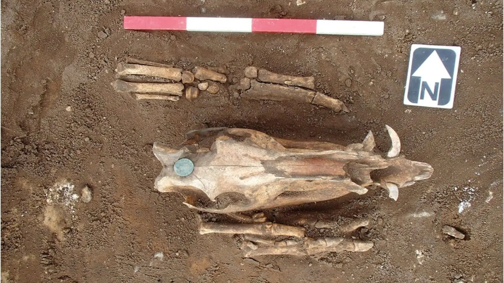 Roman Shrine Discovered Beside Ancient Burial Mound Reveals Centuries Of Ritual Reuse Scaled