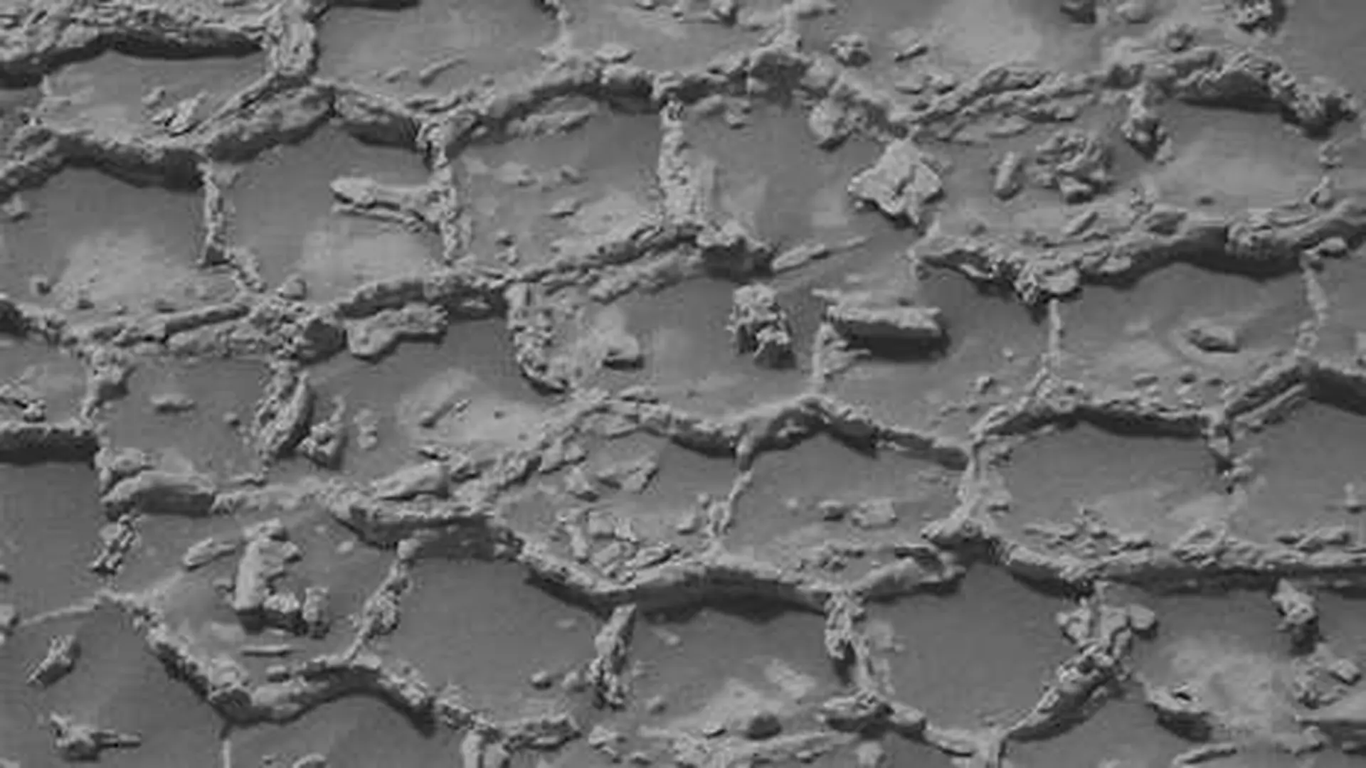 Nasas Curiosity Rover Just Entered One Of The Most Unusual Terrains Ever Seen In Gale Crater Scaled