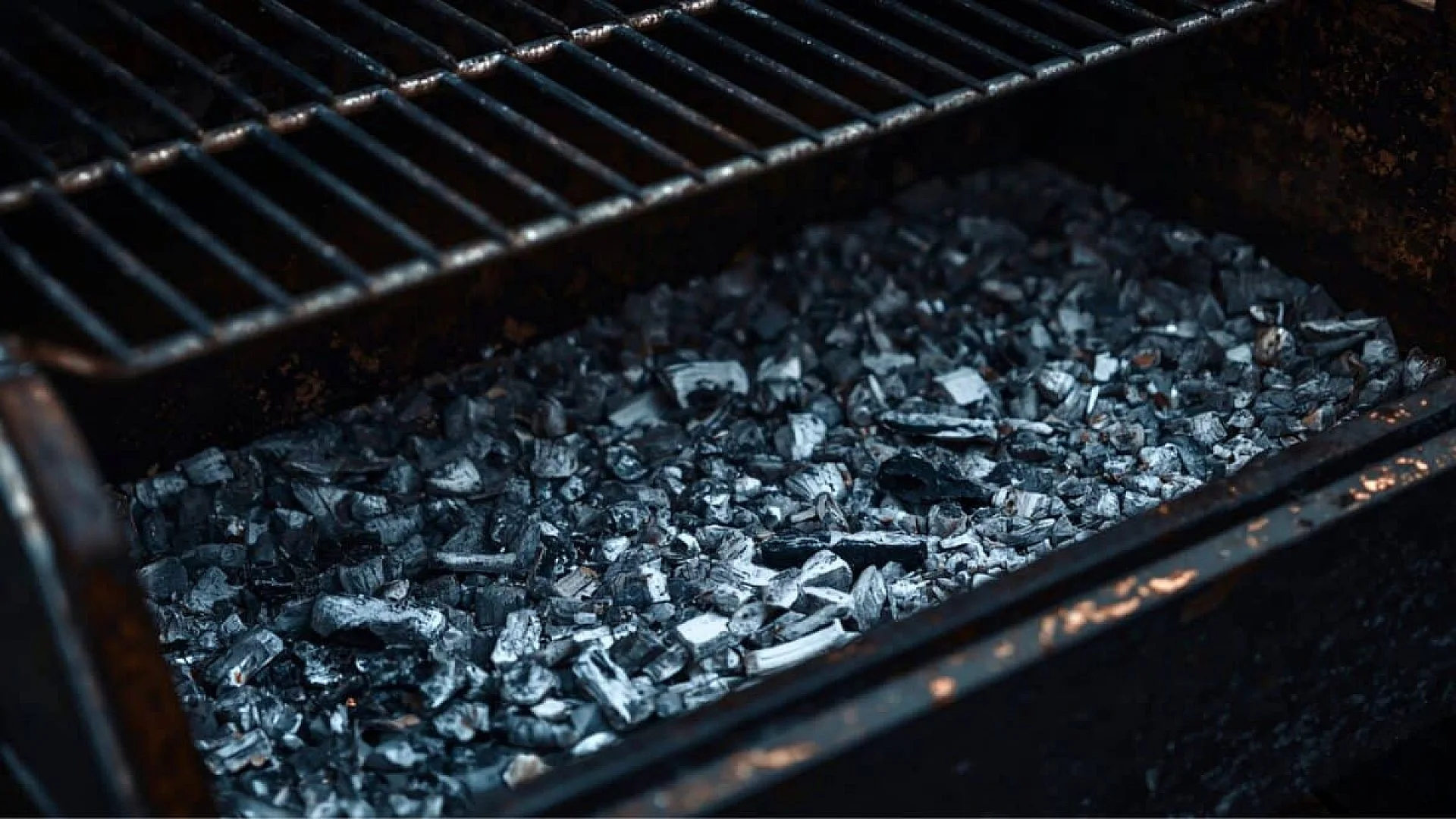 The Barbecue Leftover That Could Become A Treasure For Your Garden Scaled