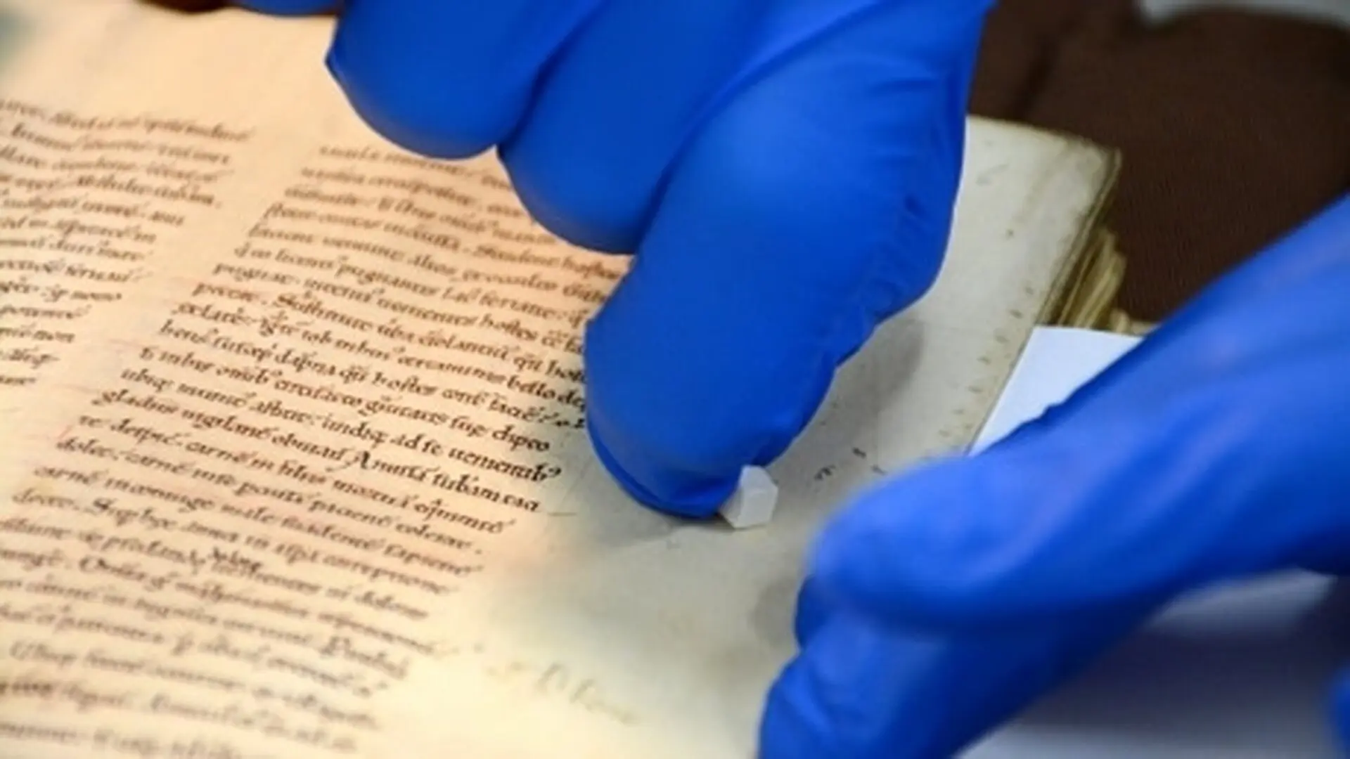 Scientists Can Extract Hidden Dna Preserved In Year Old Manuscripts Without Damaging Them For The First Time
