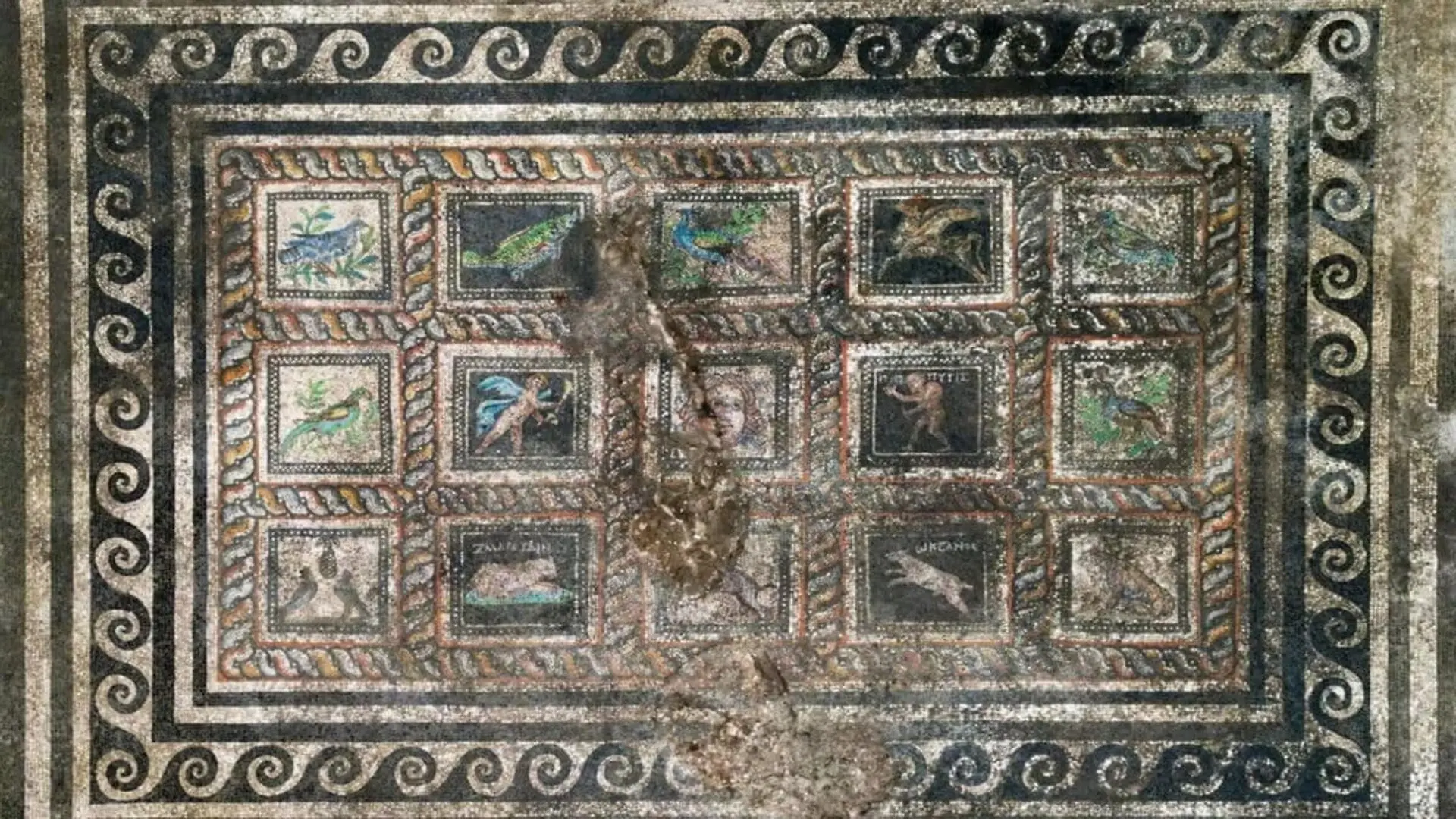 Colorful Floor Mosaic In A Roman Era Dwelling At Adramytteion An Archaeological Site In Turkiye Scaled