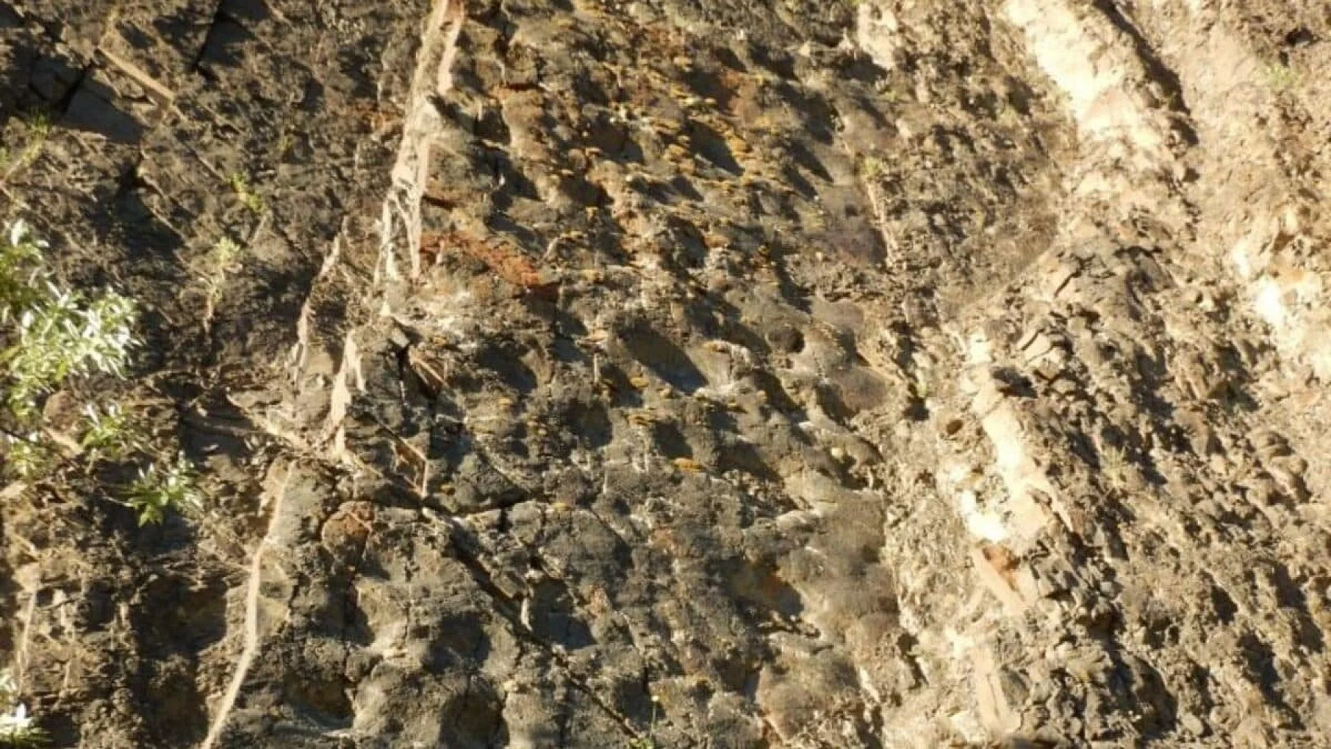 During A Hike Scientists Discovered That A Cliff In Alaska Revealed Thousands Of Well Preserved Dinosaur Tracks At Sunset Scaled