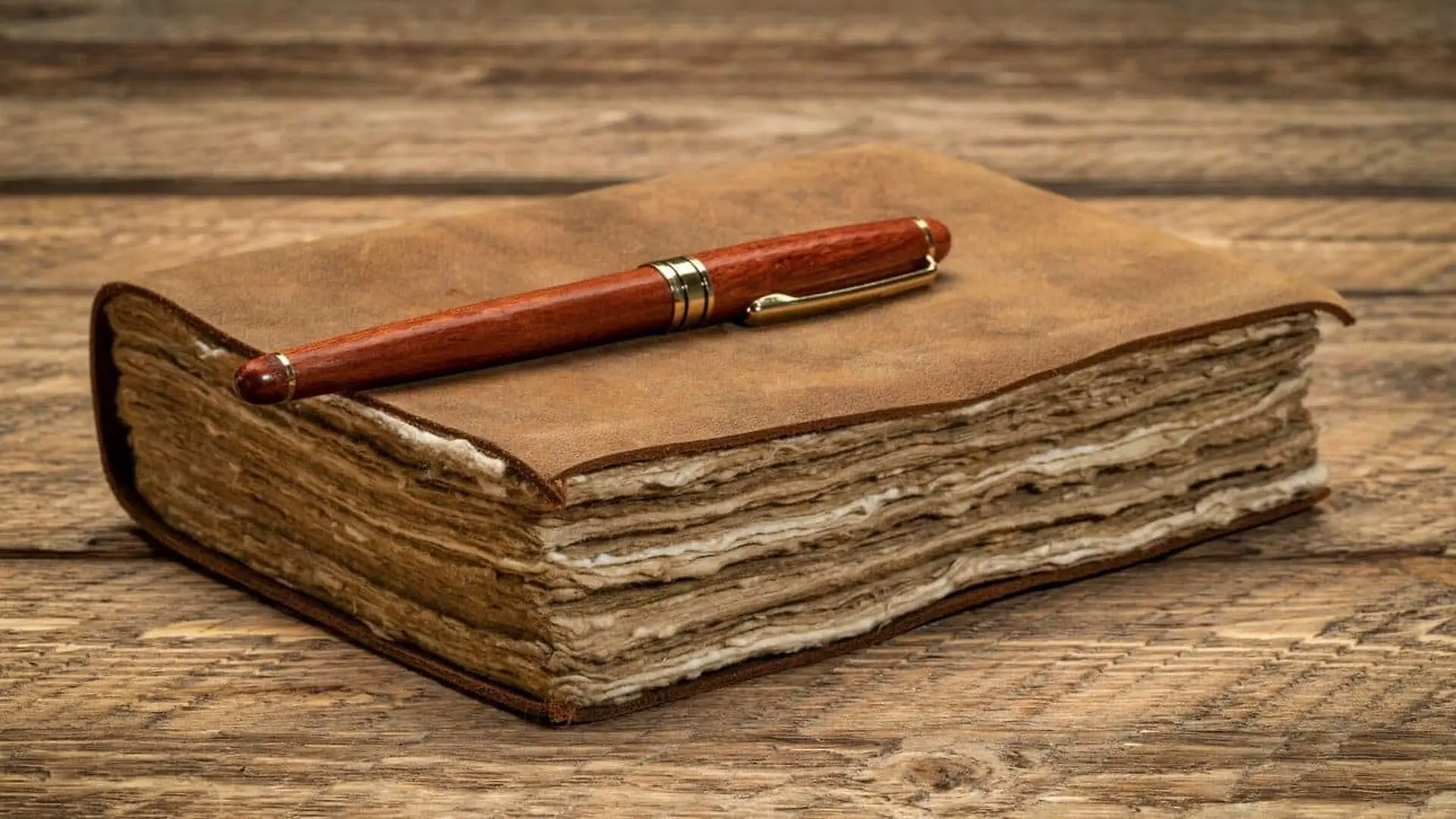 An 800 Year Old Notebook Was Just Found In A Medieval Latrine And Archaeologists Found It Perfectly Preserved Scaled 1