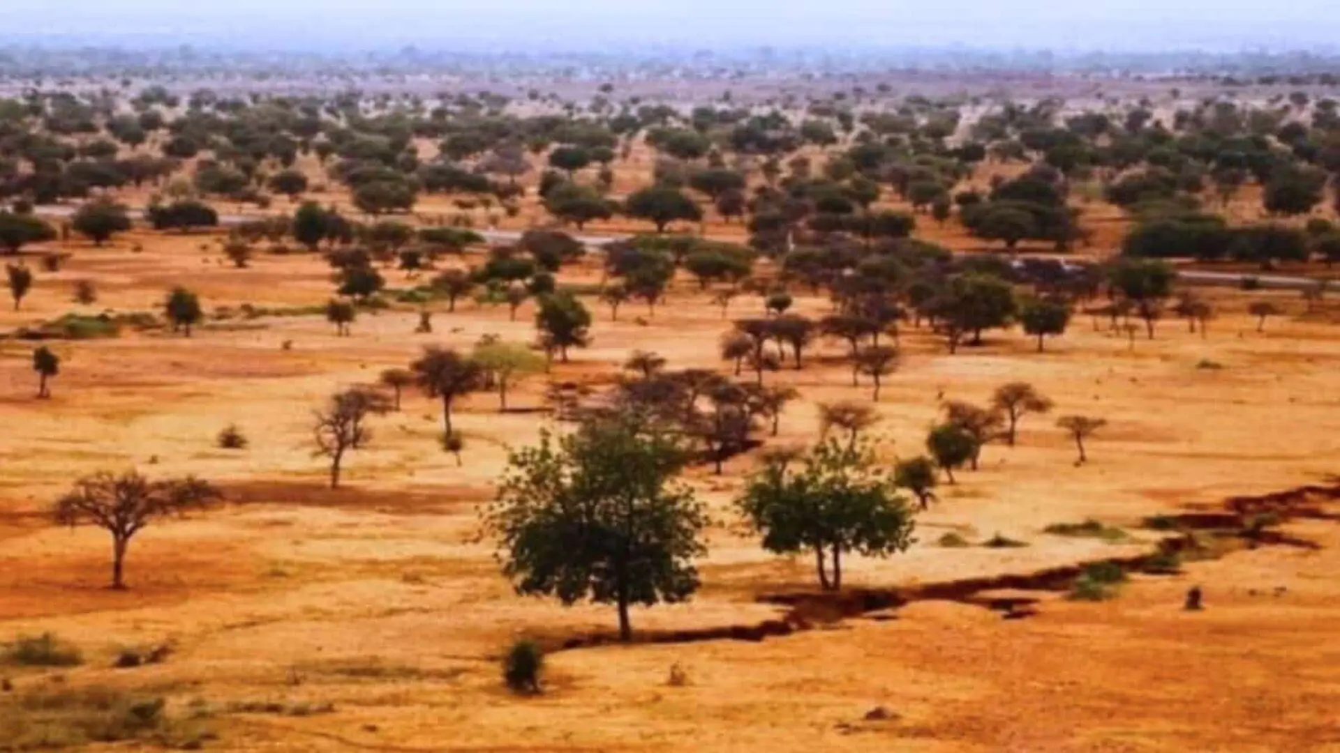 Their Return To The Sahel Left A Greener Footprint Scaled