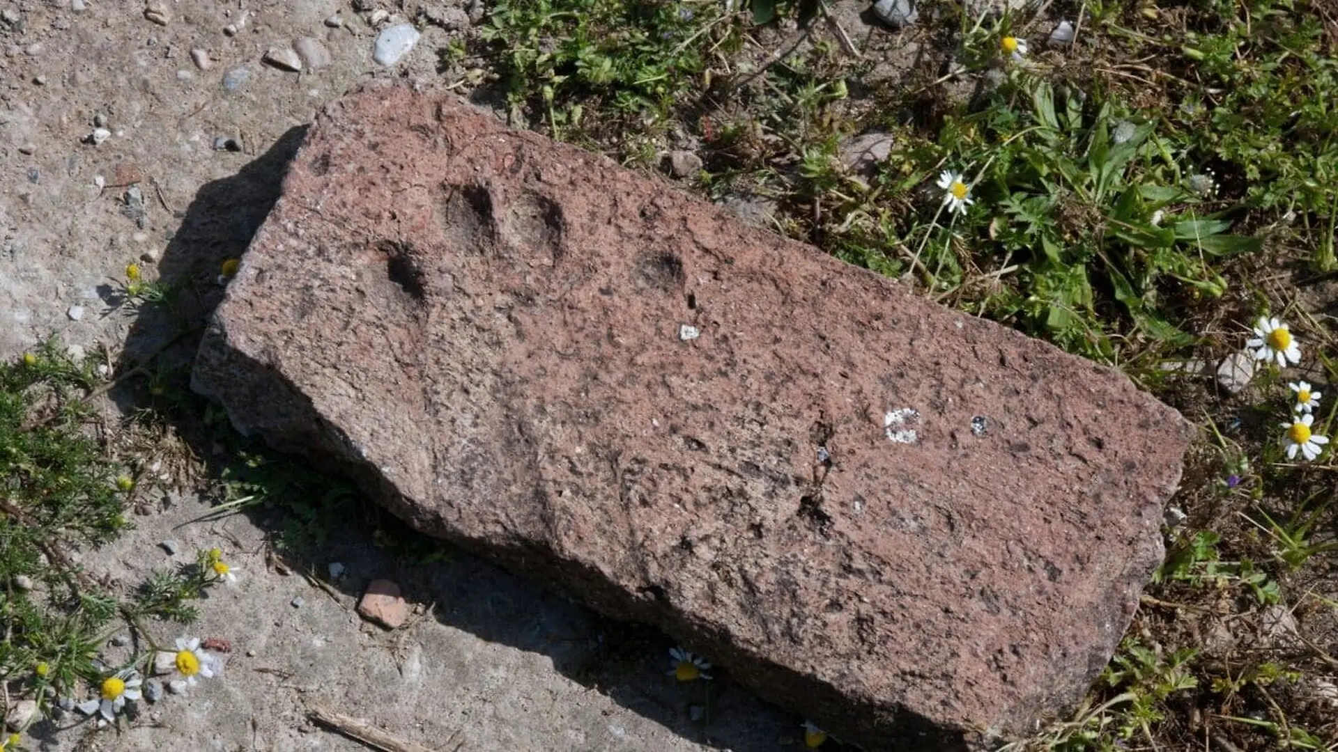 Archaeologists Just Found Year Old Fingerprints Frozen In Clay After A Fire No One Survived Scaled