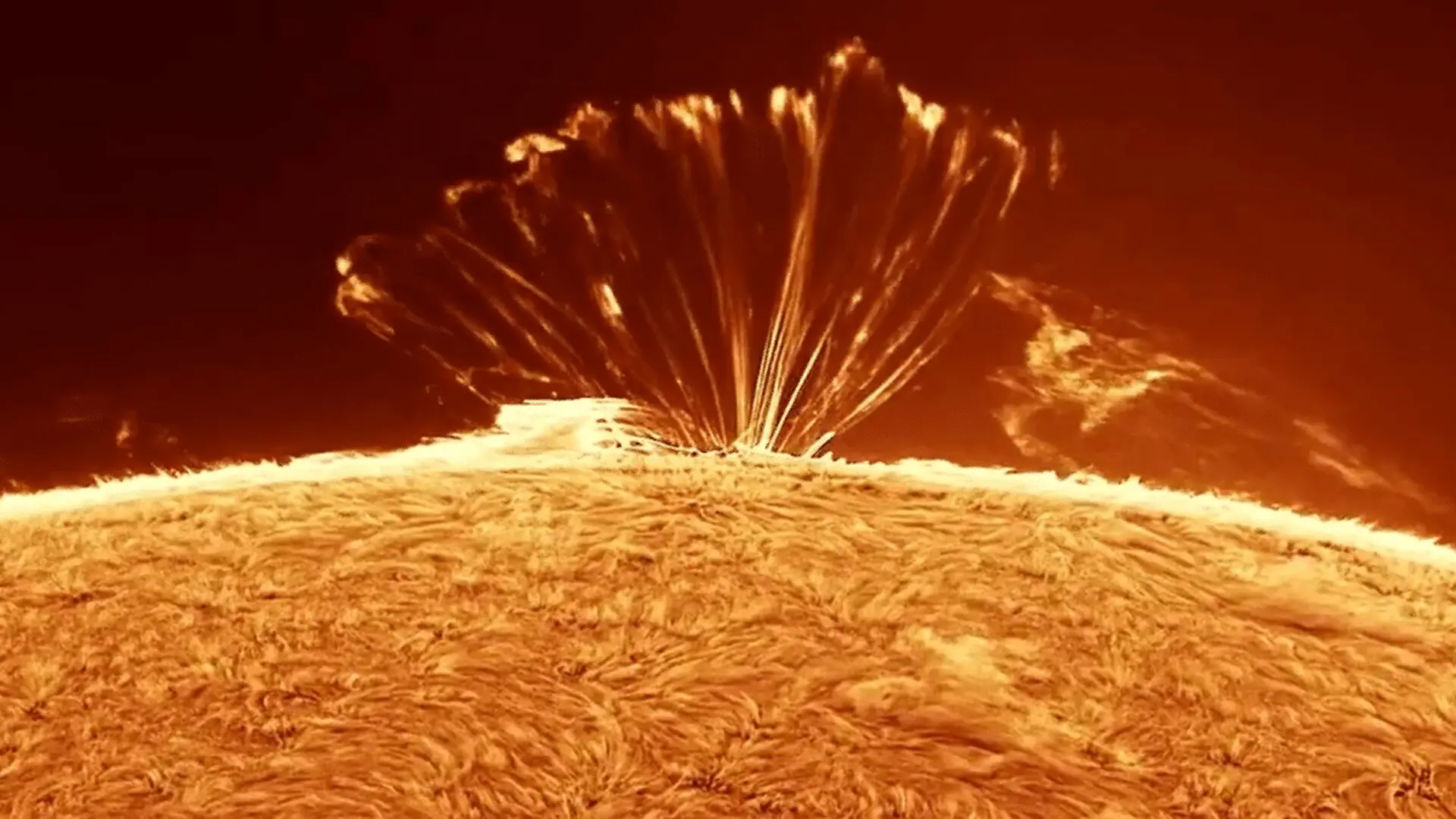 A Rare Solar Spectacle Appeared At The Suns Edge And A Photographer Captured The Moment Scaled